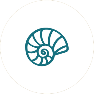Connect With Nature Icon