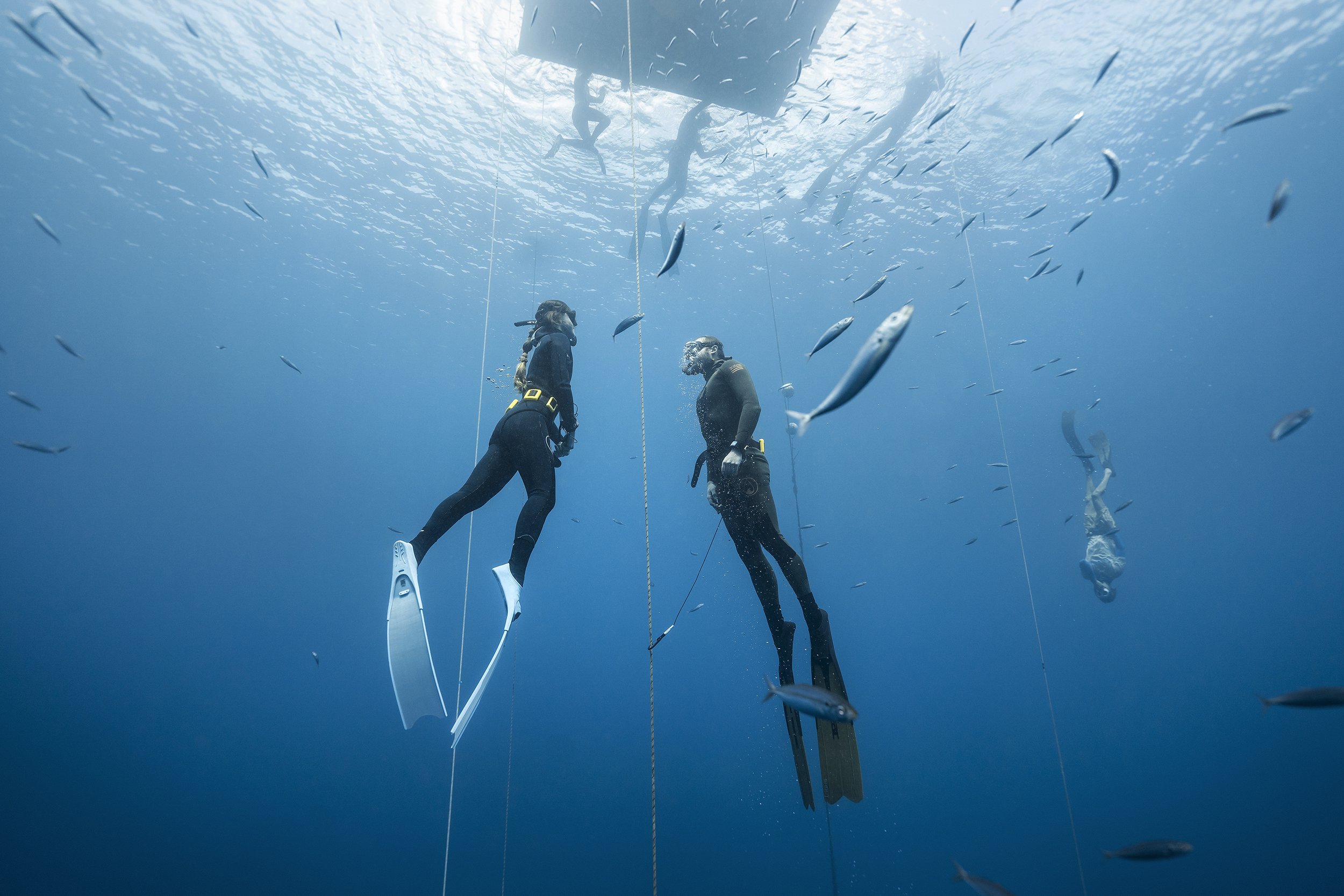Underwater scene with two scuba divers near a boat, surrounded by small fish.