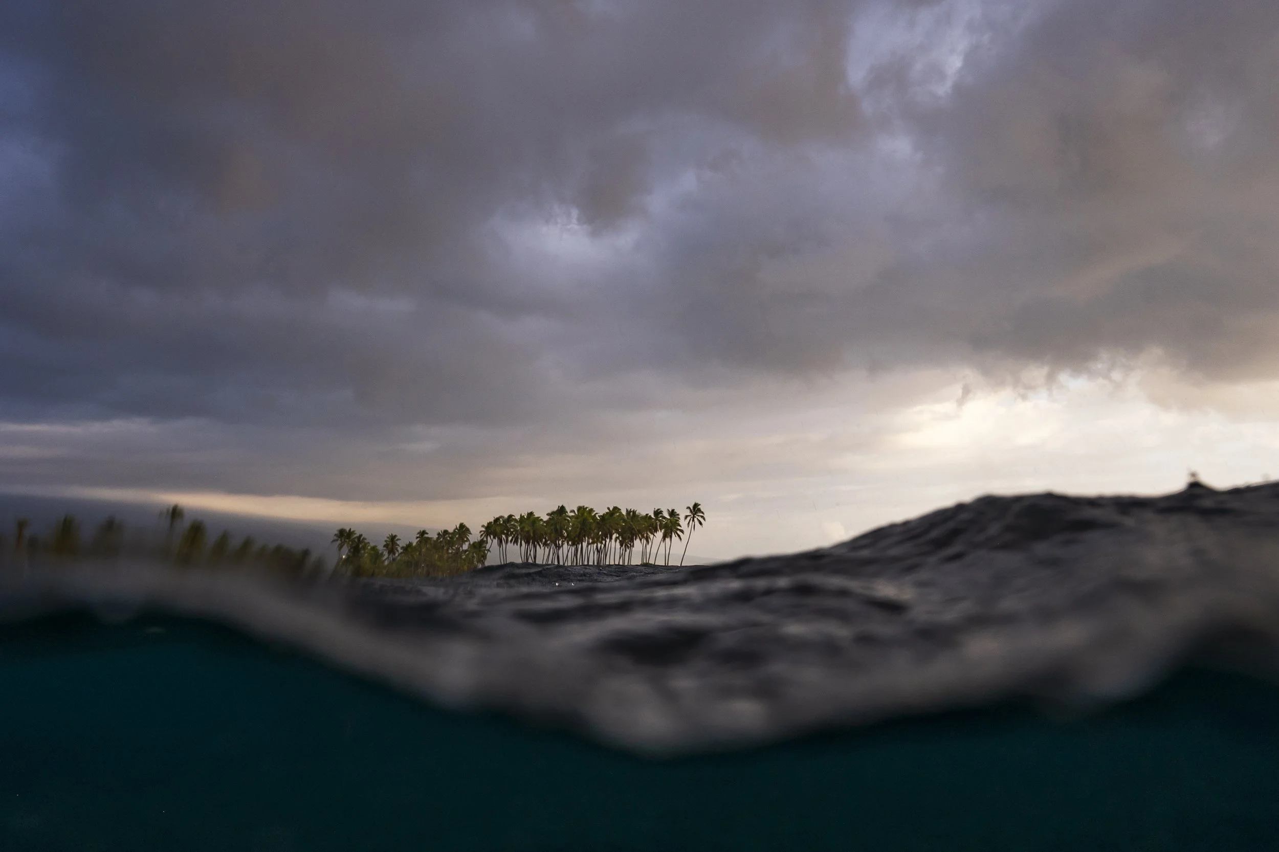 A low-angle view of a stormy sky with dark clouds over a tropical island with palm trees.