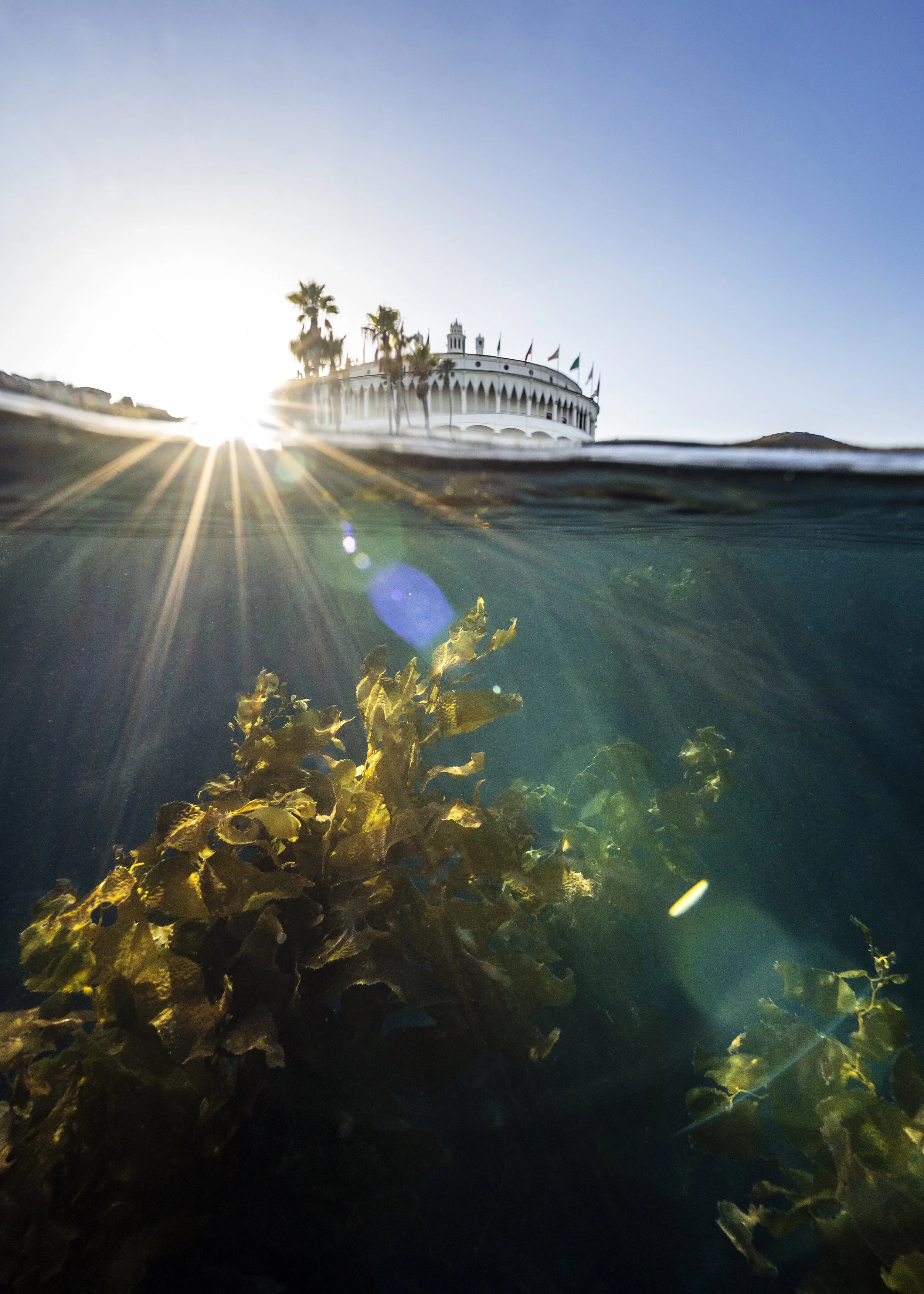 Catalina Island, CA