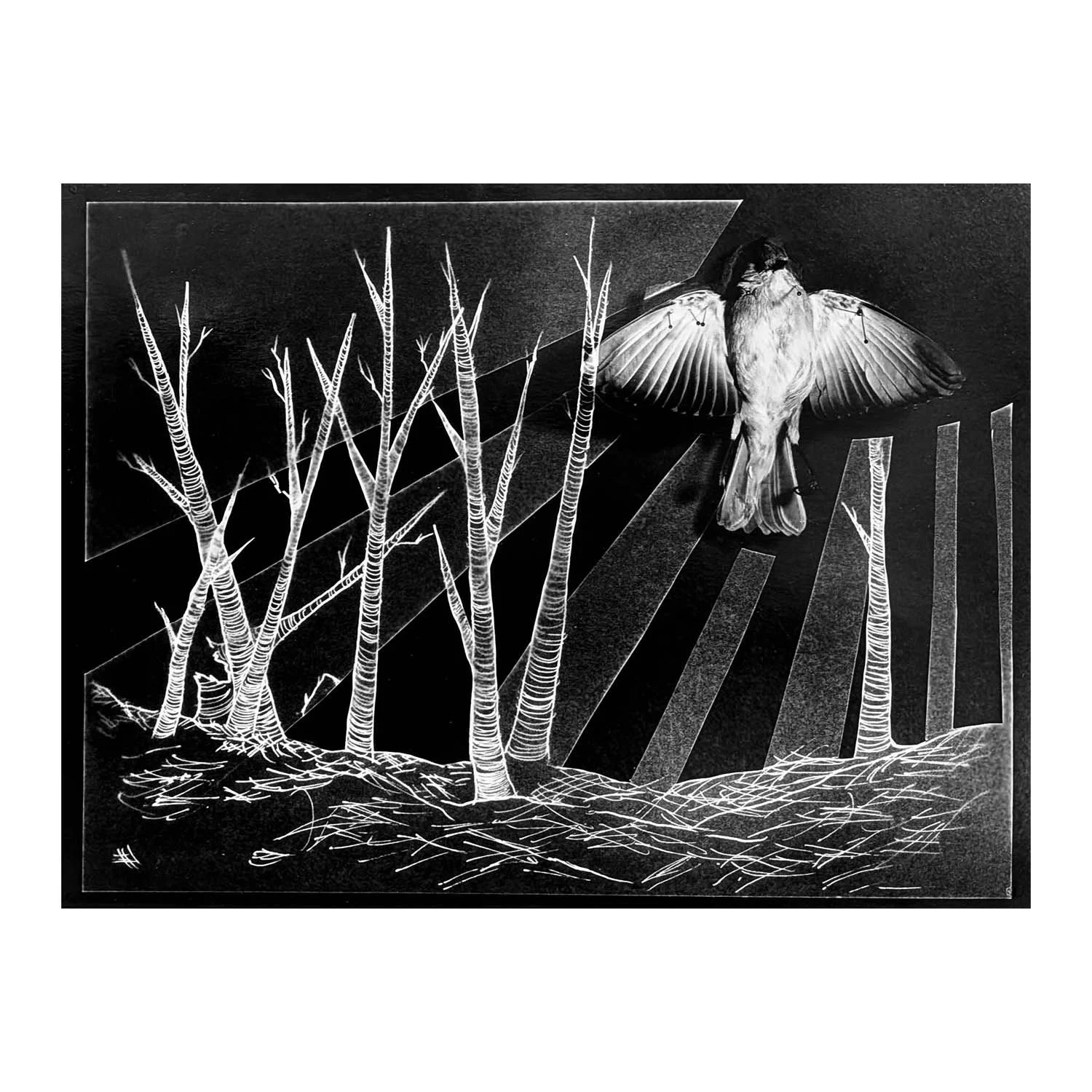 The Savior, Silver Gelatin Print