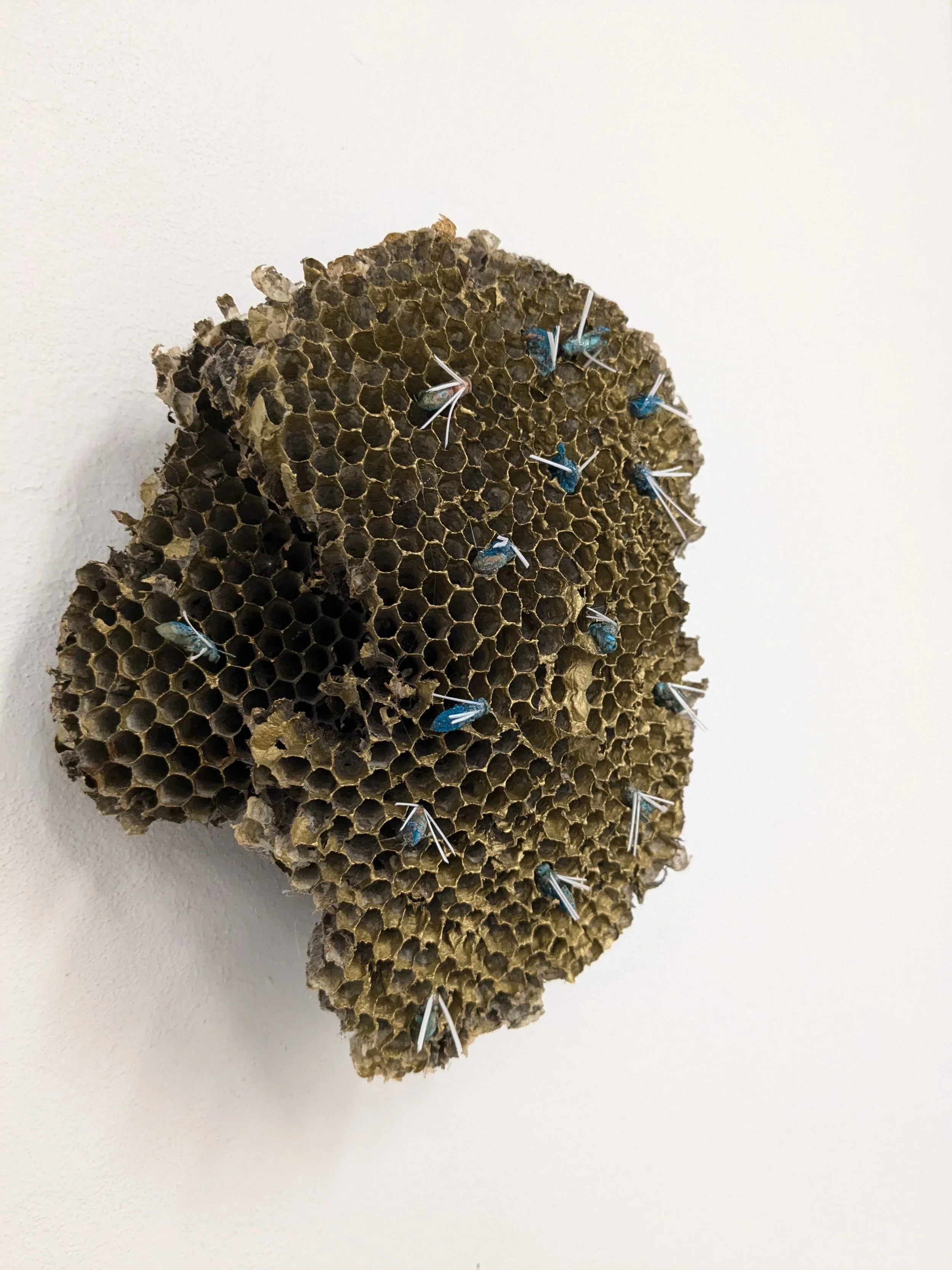 The House of God, Mixed Media Sculpture (Wasp Nest painted, bronze cast wasps)