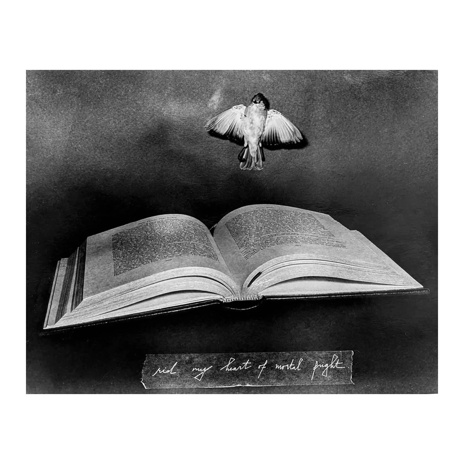 The End, Silver Gelatin Print