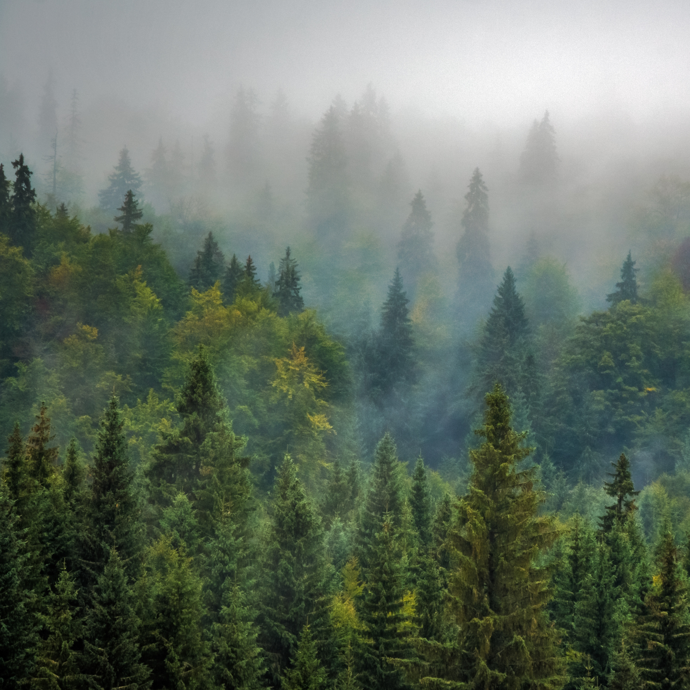 Your Flush Costs More Than You Think: The Hidden Environmental Impact Most People Never Hear About