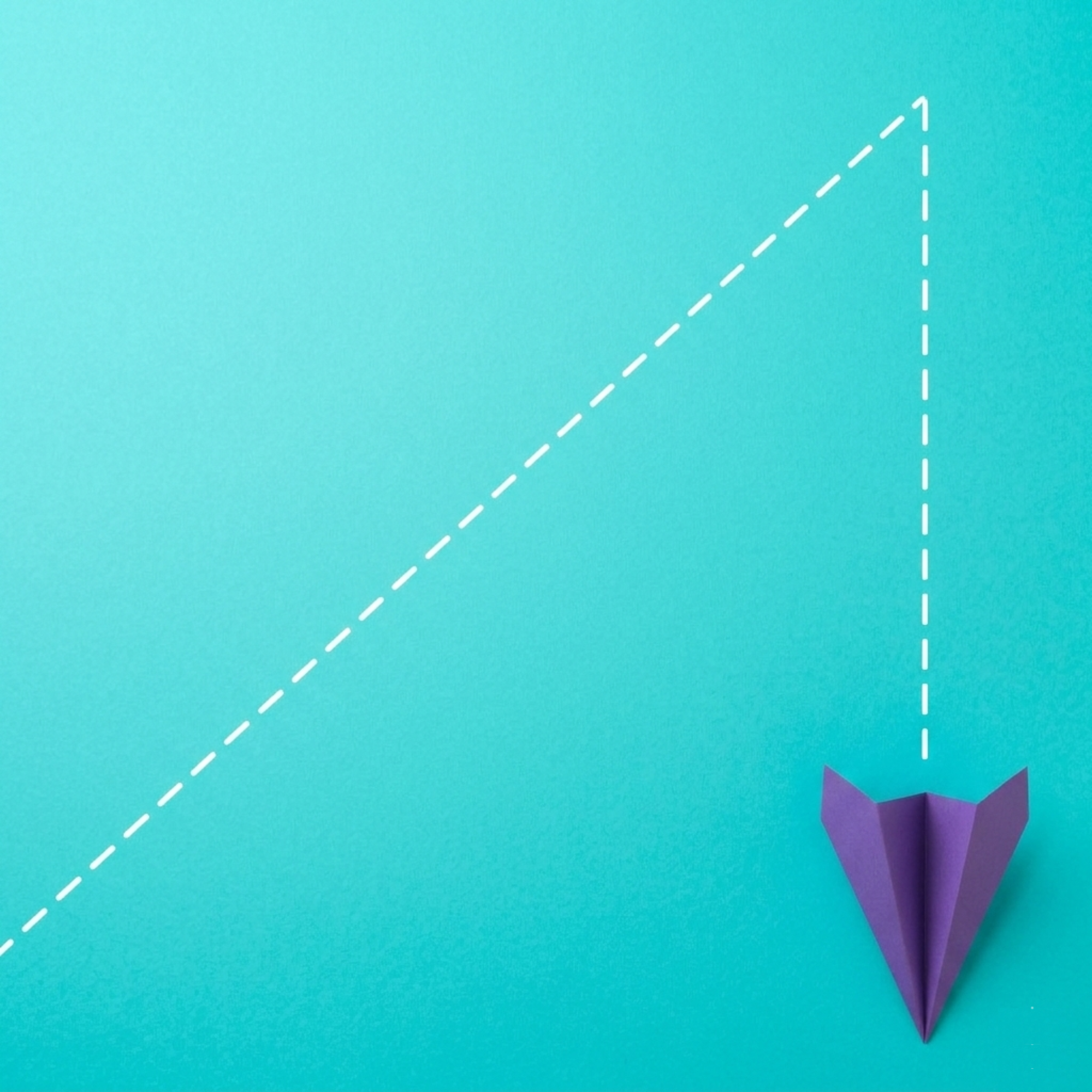 Back at Square One: The Friction in America’s Bidet Upgrade