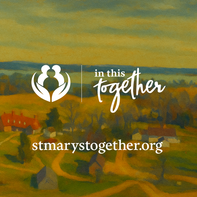 Final campaign slide displaying the In This Together logo and website address, stmarystogether.org.