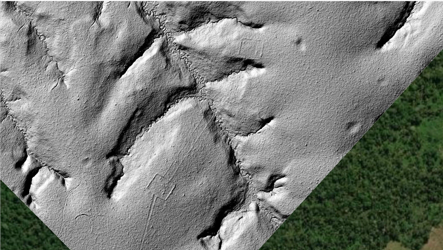 Missouri State researchers plan a trip to the Amazon to search for signs of a lost civilization - KSMU Radio