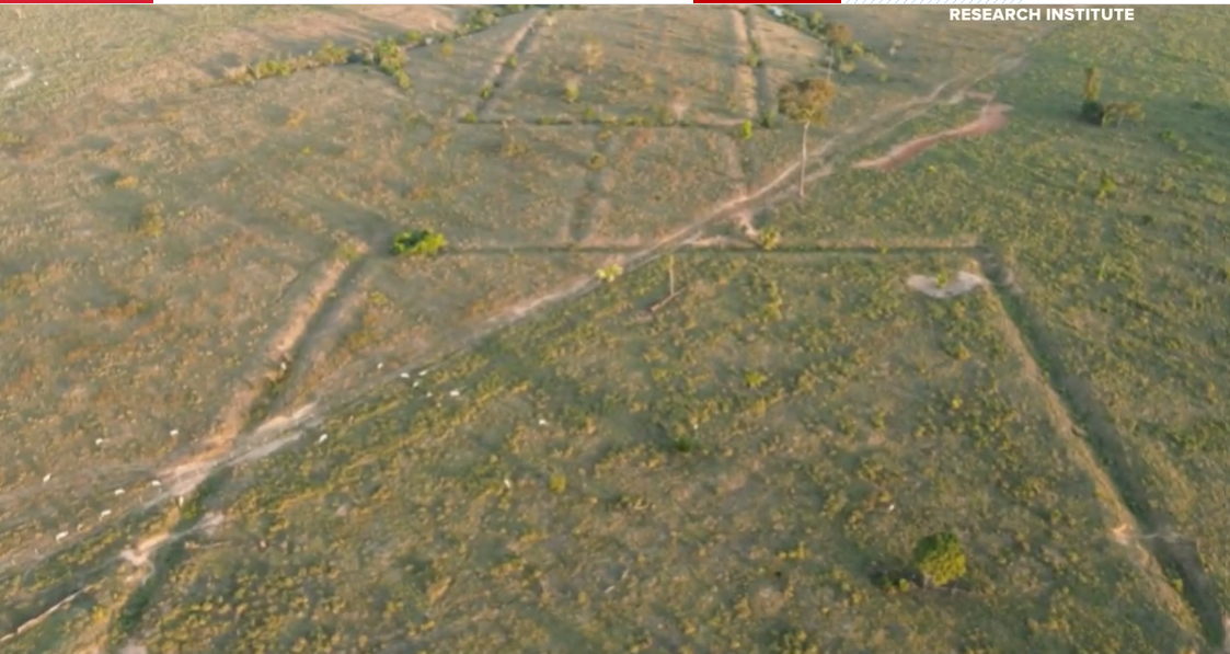 Missouri archaeologists think they've found a lost city. Now they're setting out to prove it - KSDK TV News