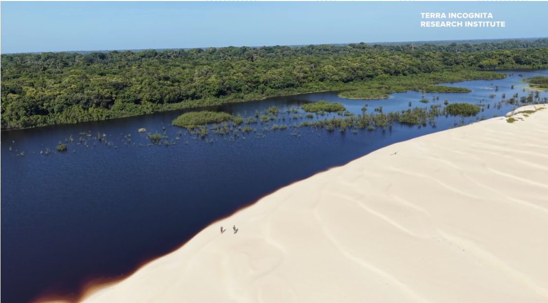 Missouri archaeologists find evidence of lost city in the Amazon - KSDK 5 St. Louis