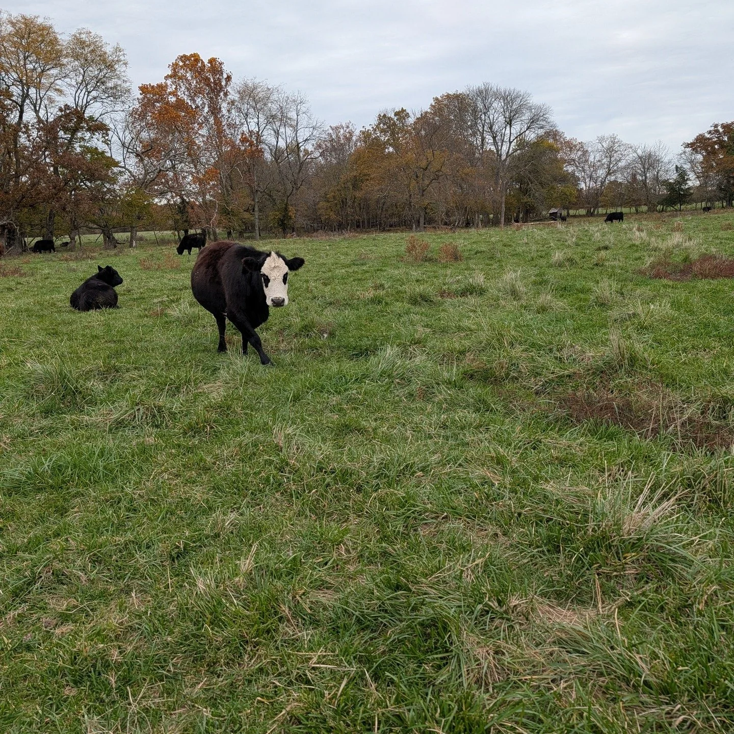 Where in the world is the Terra Team this week??? We are looking forward to a busy week with our good friends at Basemap Consulting collecting lidar data at sites across two states! Stay tuned to find out where all the Terra Team went! To learn about