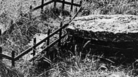 Weird Fact Friday, Spooky Season 🎃 🐈&zwj;⬛ 🖤
Those cages weren't meant to keep the dead in...
If you wander through certain old Scottish churchyards, you may encounter something that looks wonderfully ominous: an iron cage over a grave. Your first