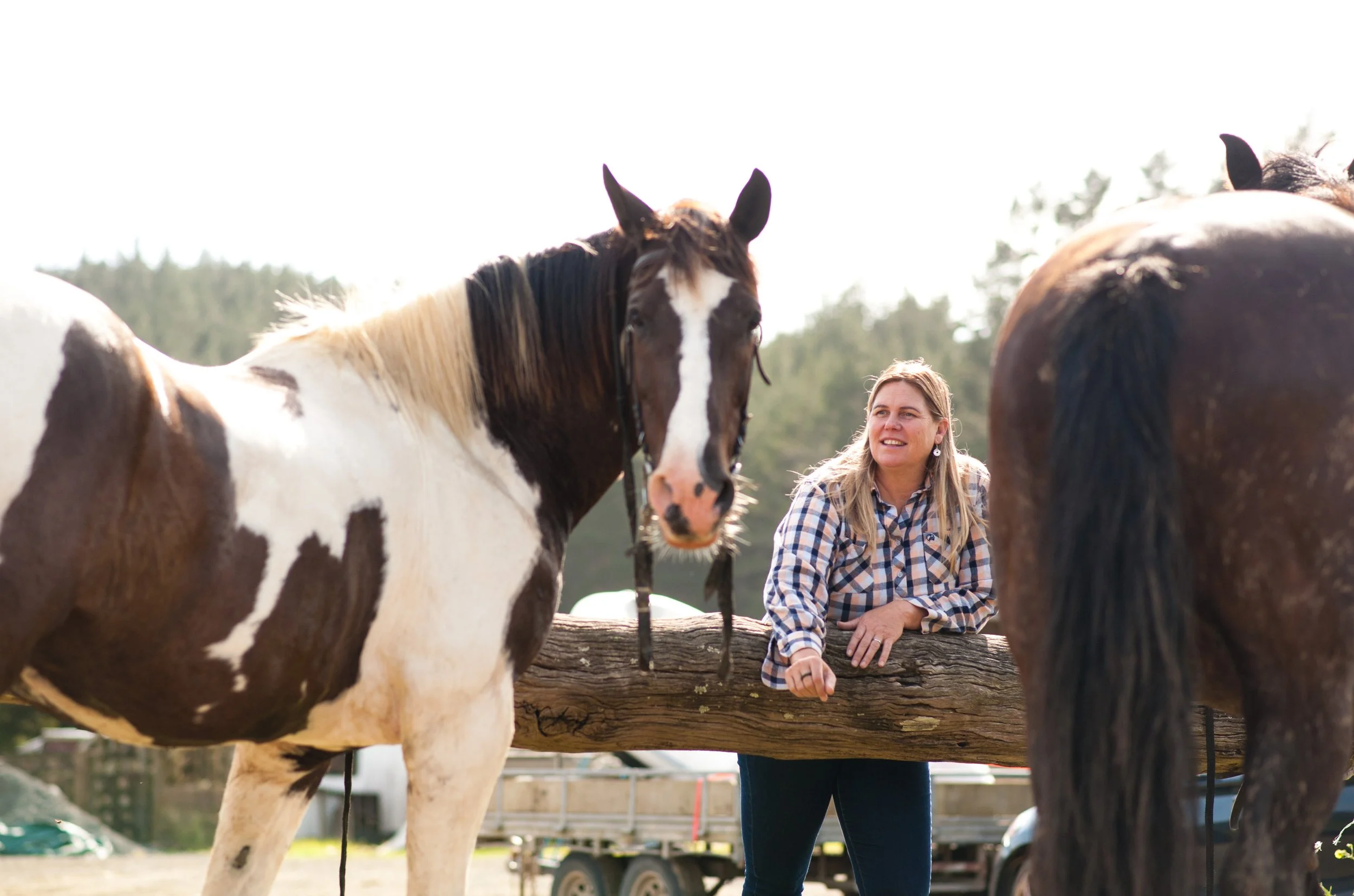 A woman leaning on a wooden fence, smiling, with a white and brown paint horse and a dark brown horse nearby in an outdoor setting with trees in the background.