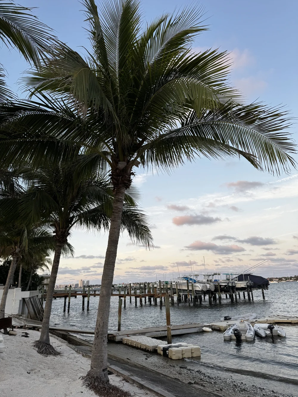 Florida sunrise over the boatyard pre-racing