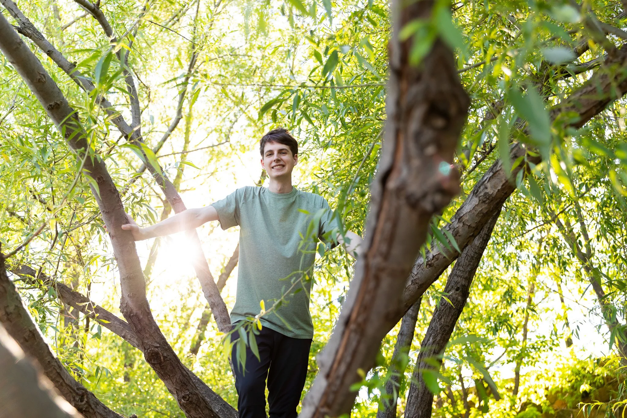 A young man standing in a tree with green leaves, smiling and reaching out with both arms, sunlight shining in the background.