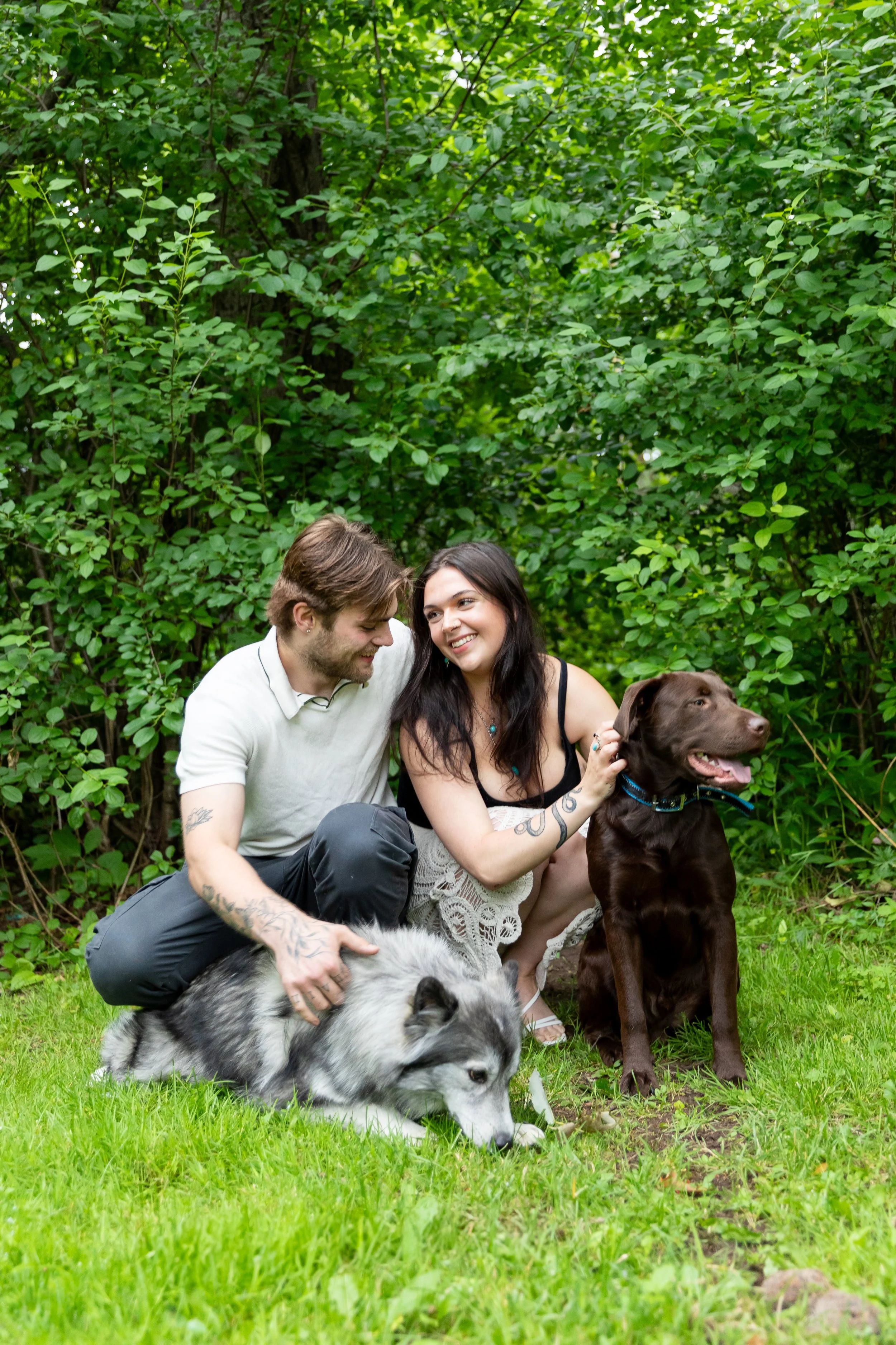 A couple sitting on green grass with their two dogs near bushes in a park, smiling and interacting with the dogs.
