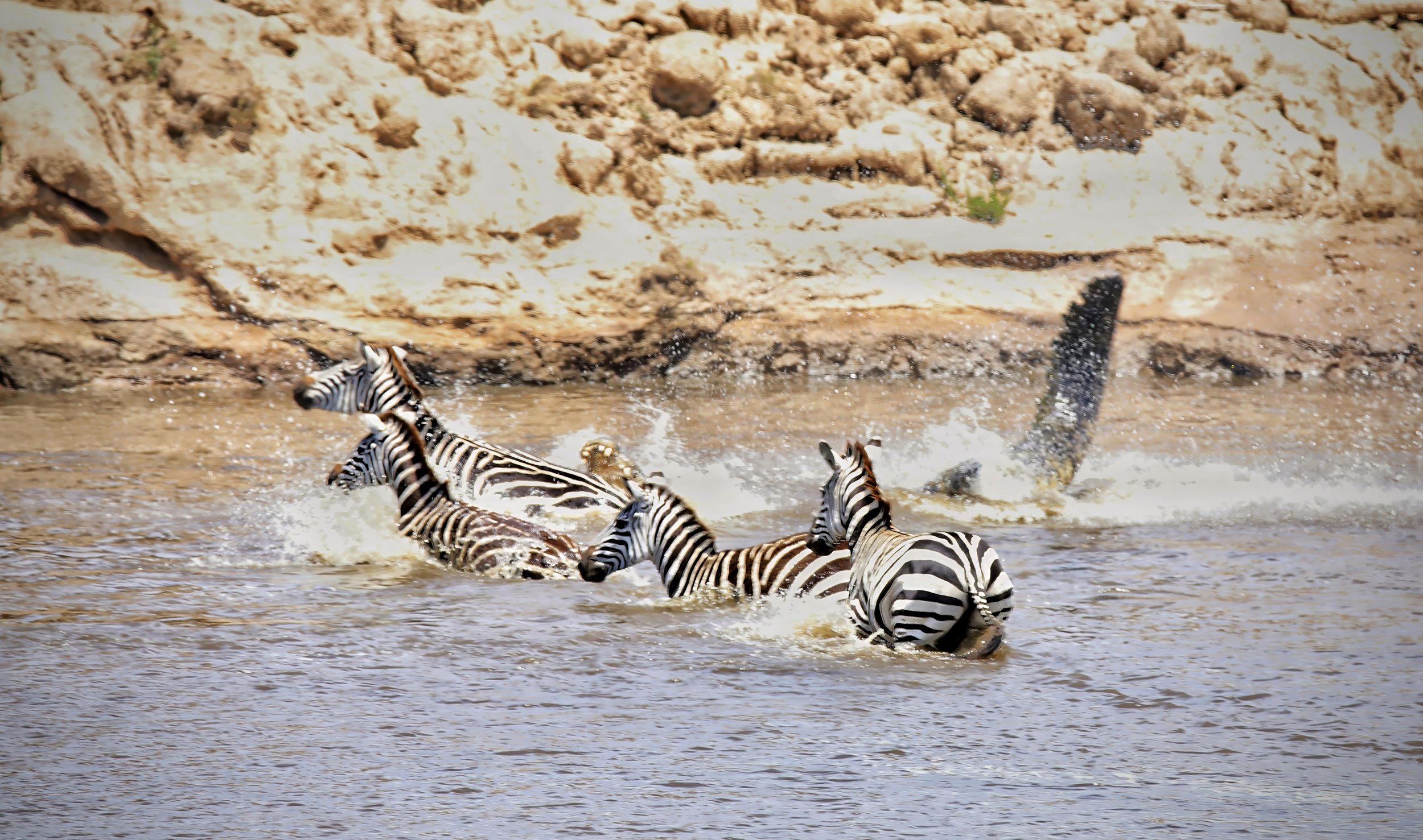 Mara River Crossing "The Gauntlet"
