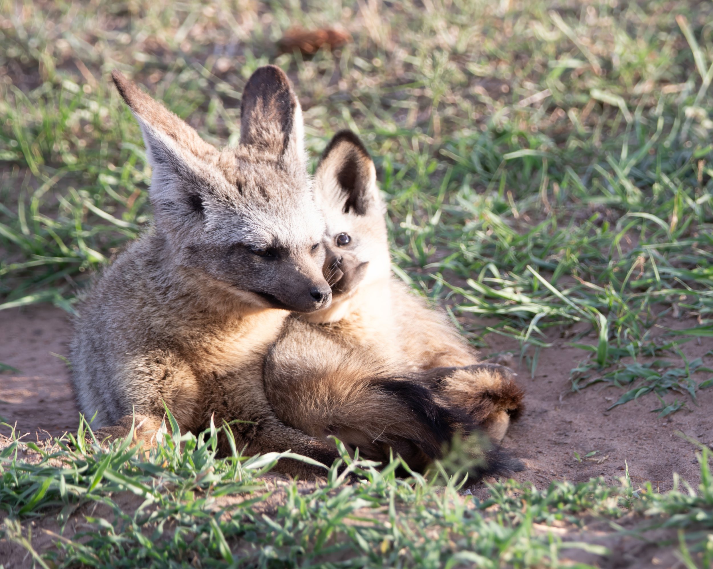 "Maternal Whispers"