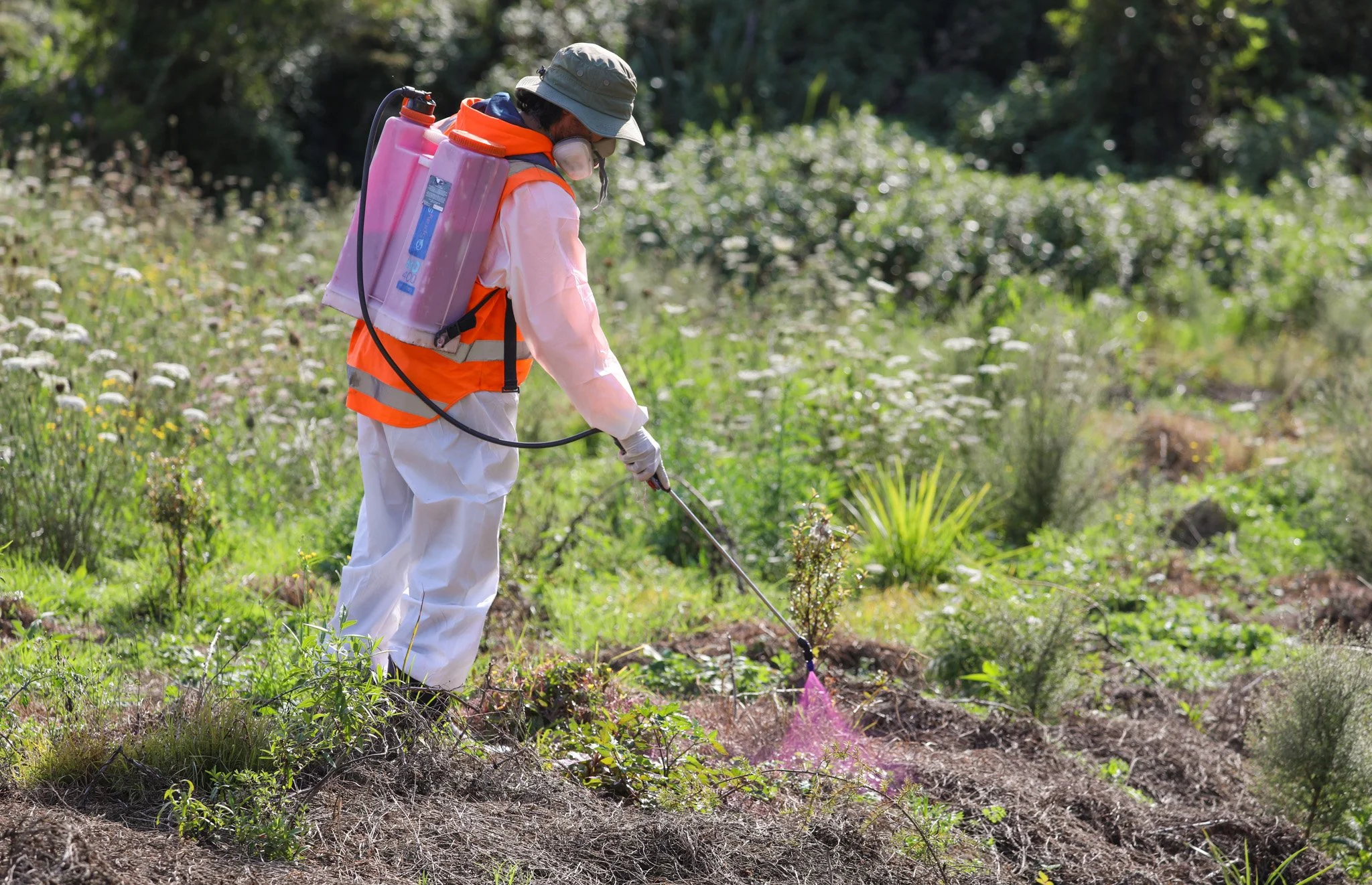 Maintenance for ecological planting