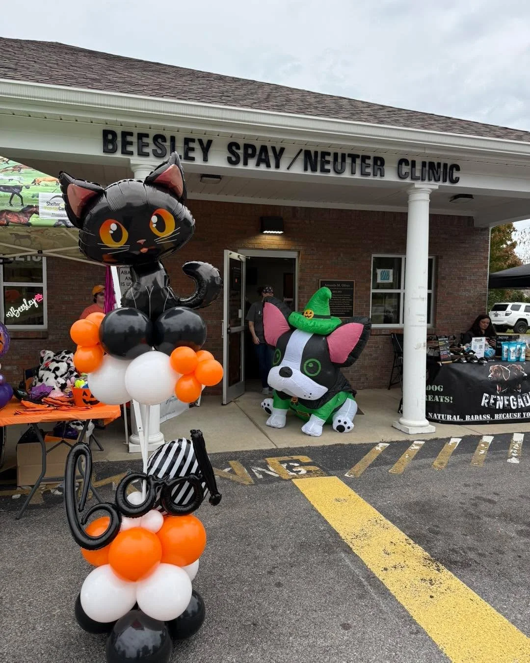 Halloween cat column for Beesley&rsquo;s Boo Bash. Plus a small tabletop centerpiece for fun (to the left of the cat on the table).
#halloweenballoondecor #murfreesborosmallbusiness #murfreesboro #halloweenballoons #halloweenballoons🎃 #Halloween #mu