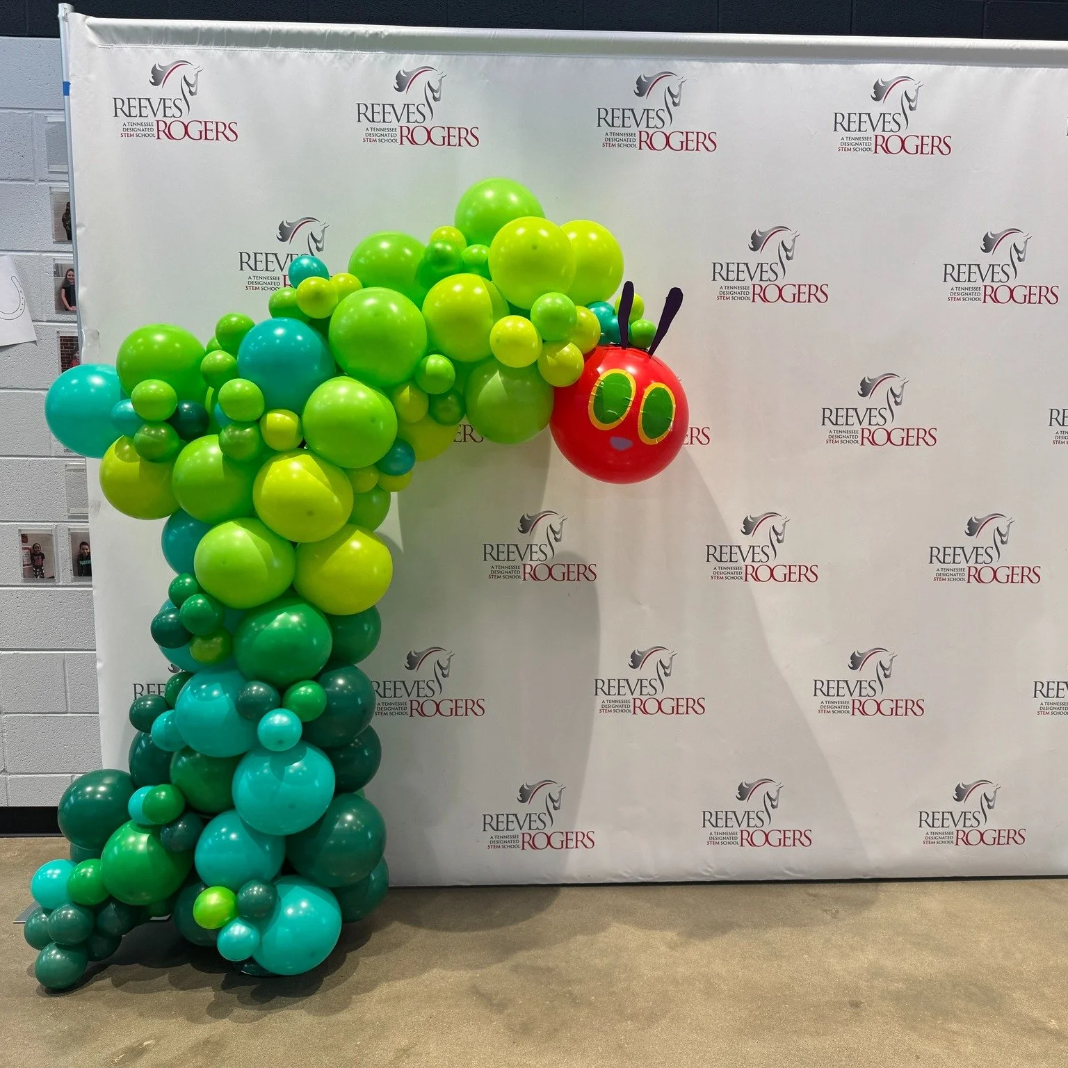 What better way to celebrate 1st grade authors than a very hungry caterpillar balloon structure? I loved mixing all the greens to create a very unique garland.
Colors: Sempertex forest green, Decomex standard green, bright lime, pastel lime, and past