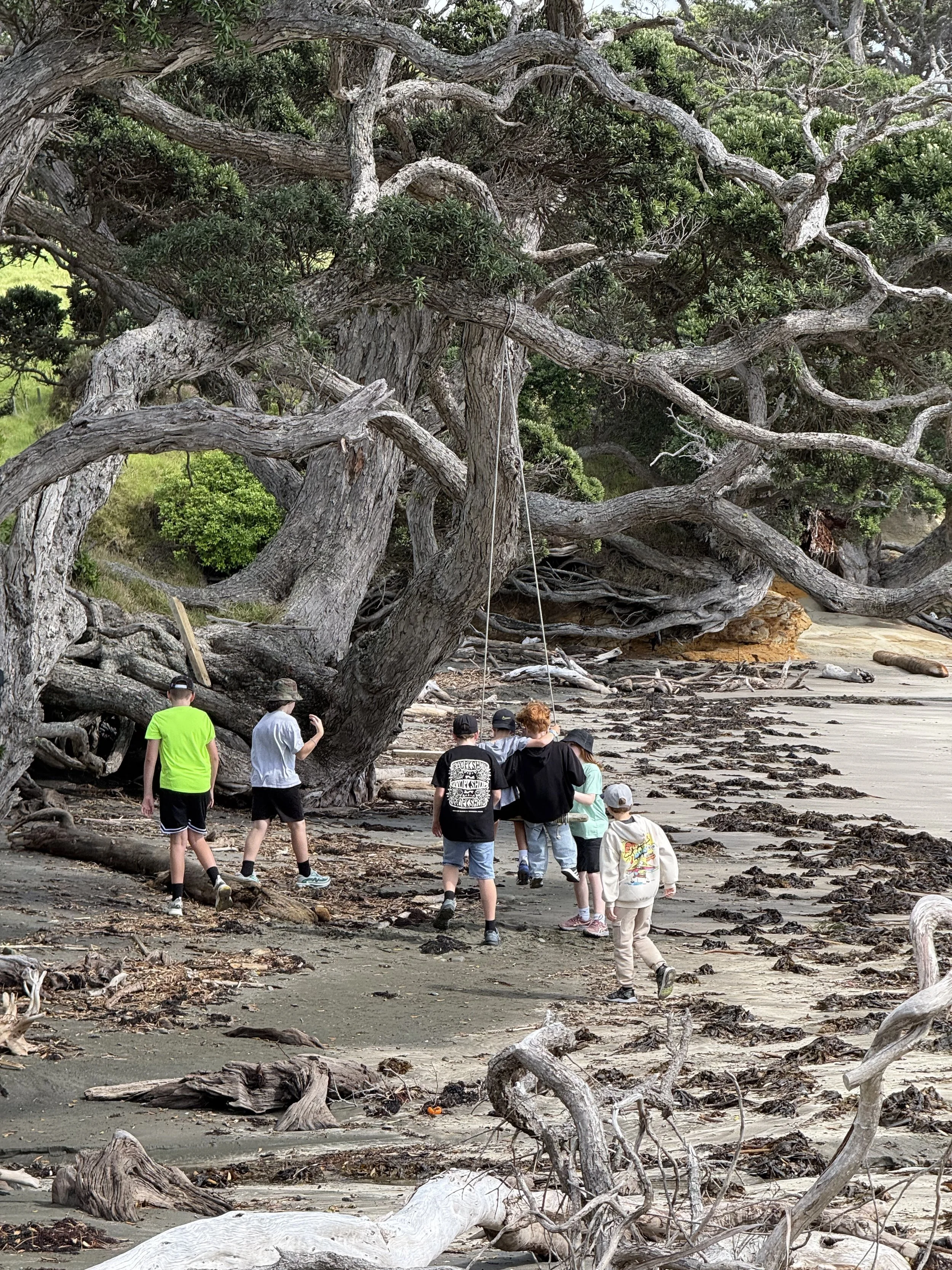 2026-03-30 Group D-02.jpeg