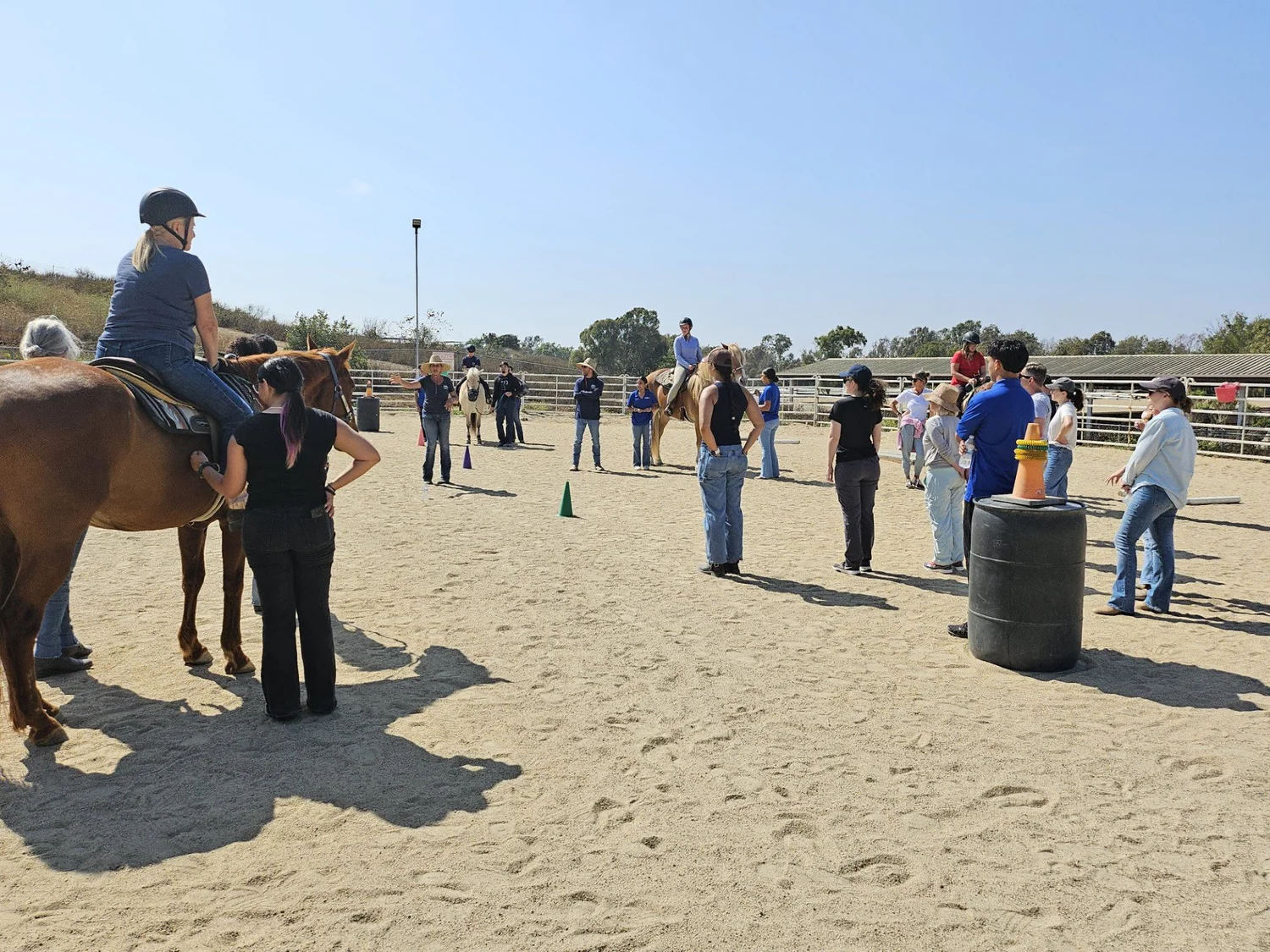 About Us | Discover Hope Through Riding — Therapeutic Riding Center