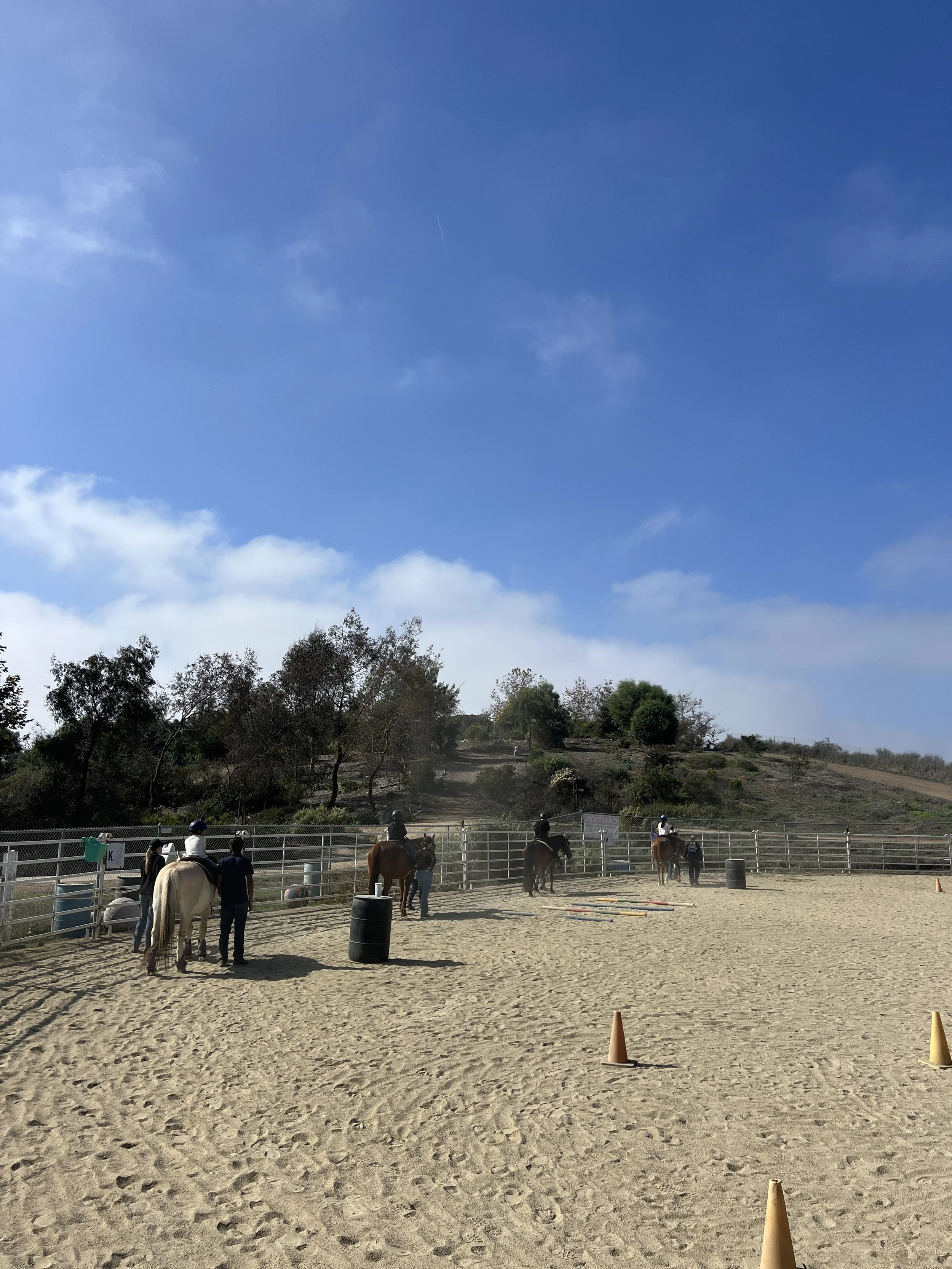 Volunteer Training Day