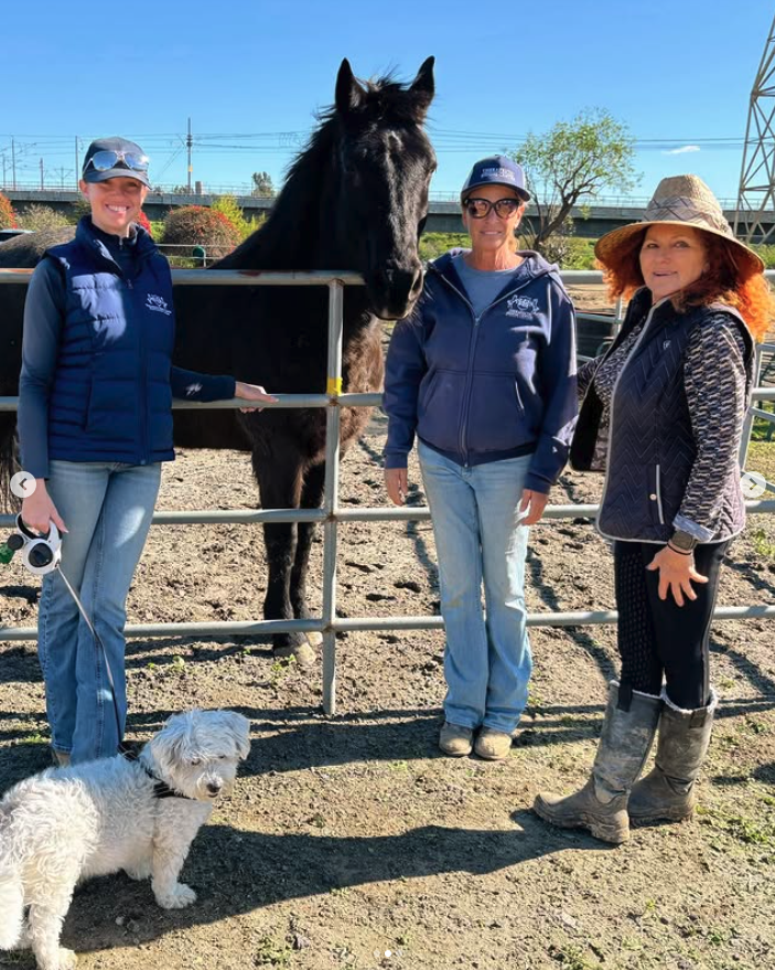 Three women and a dog are standing near a black horse behind a metal fence at a farm. The women are smiling, and the dog is sitting on the ground near them.