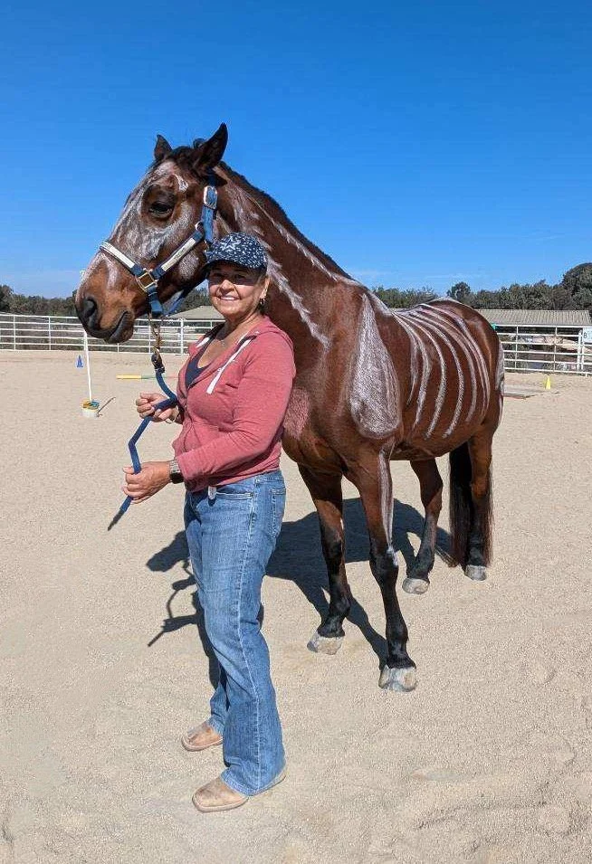 A woman in a red jacket and blue jeans standing next to a brown horse with visible ribs in an enclosed outdoor riding arena on a sunny day.