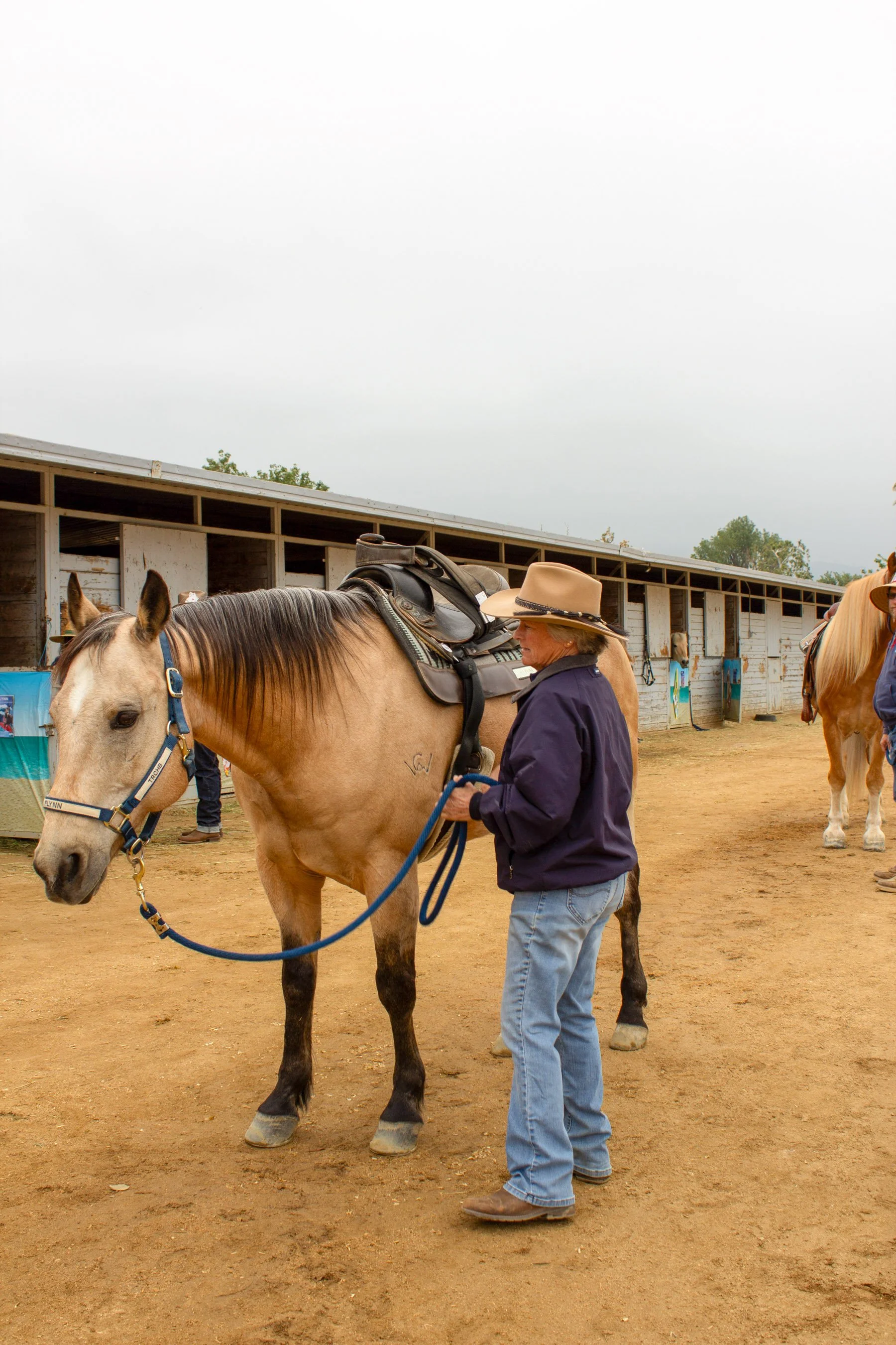 A person in a cowboy hat and blue jacket is tending to a tan horse with a saddle in a stable yard.