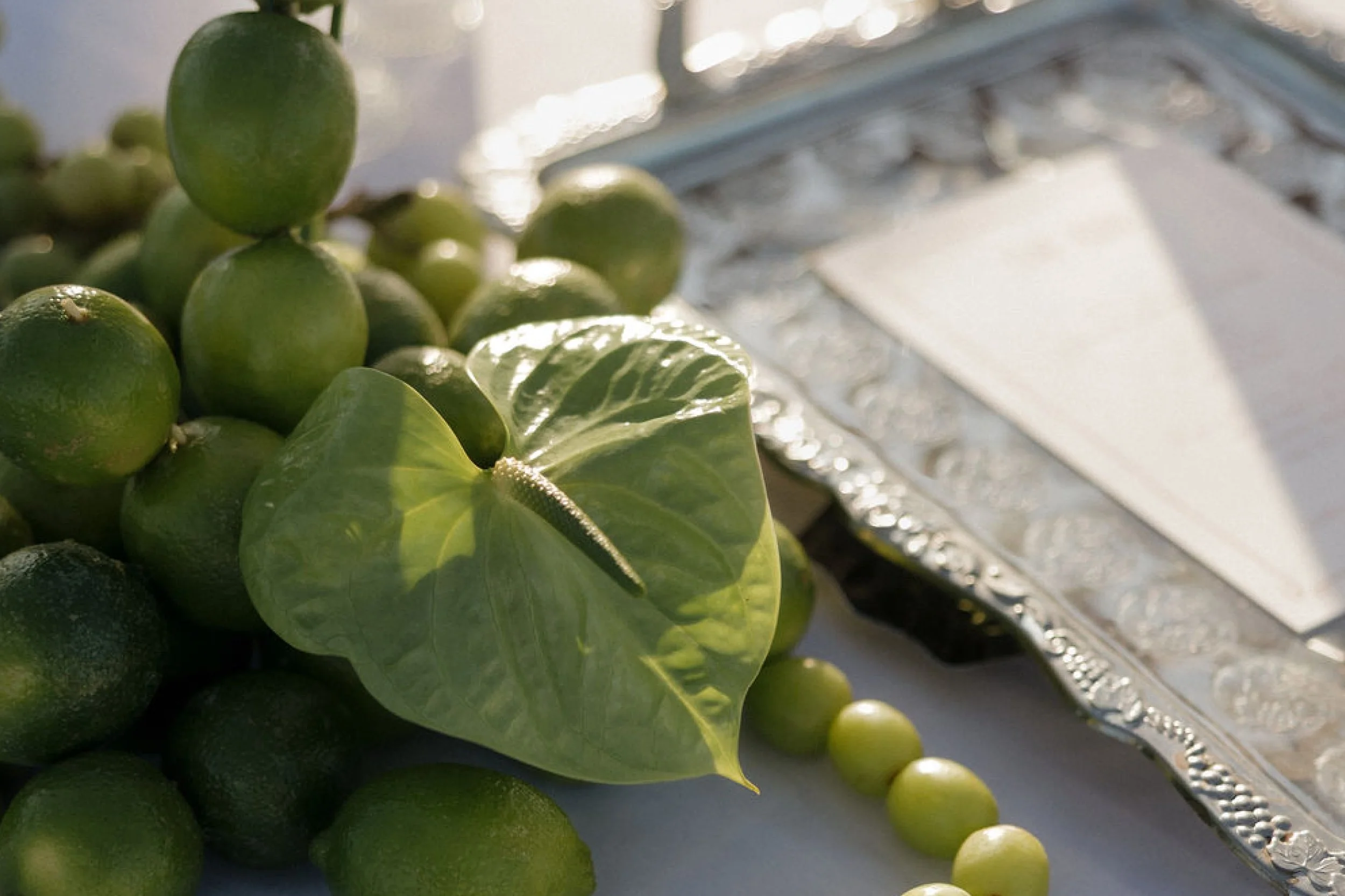 ella&brenton-Wedding 3-2 ratio_.jpg