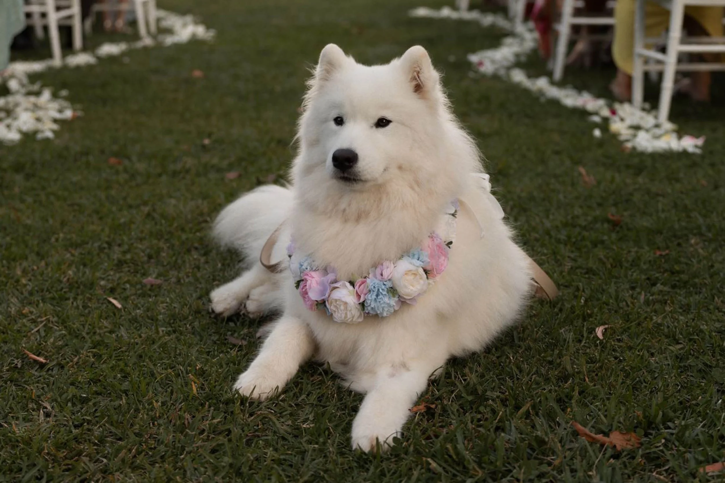 Alyssa&Tom-Wedding 3-2 ratio_6.jpg