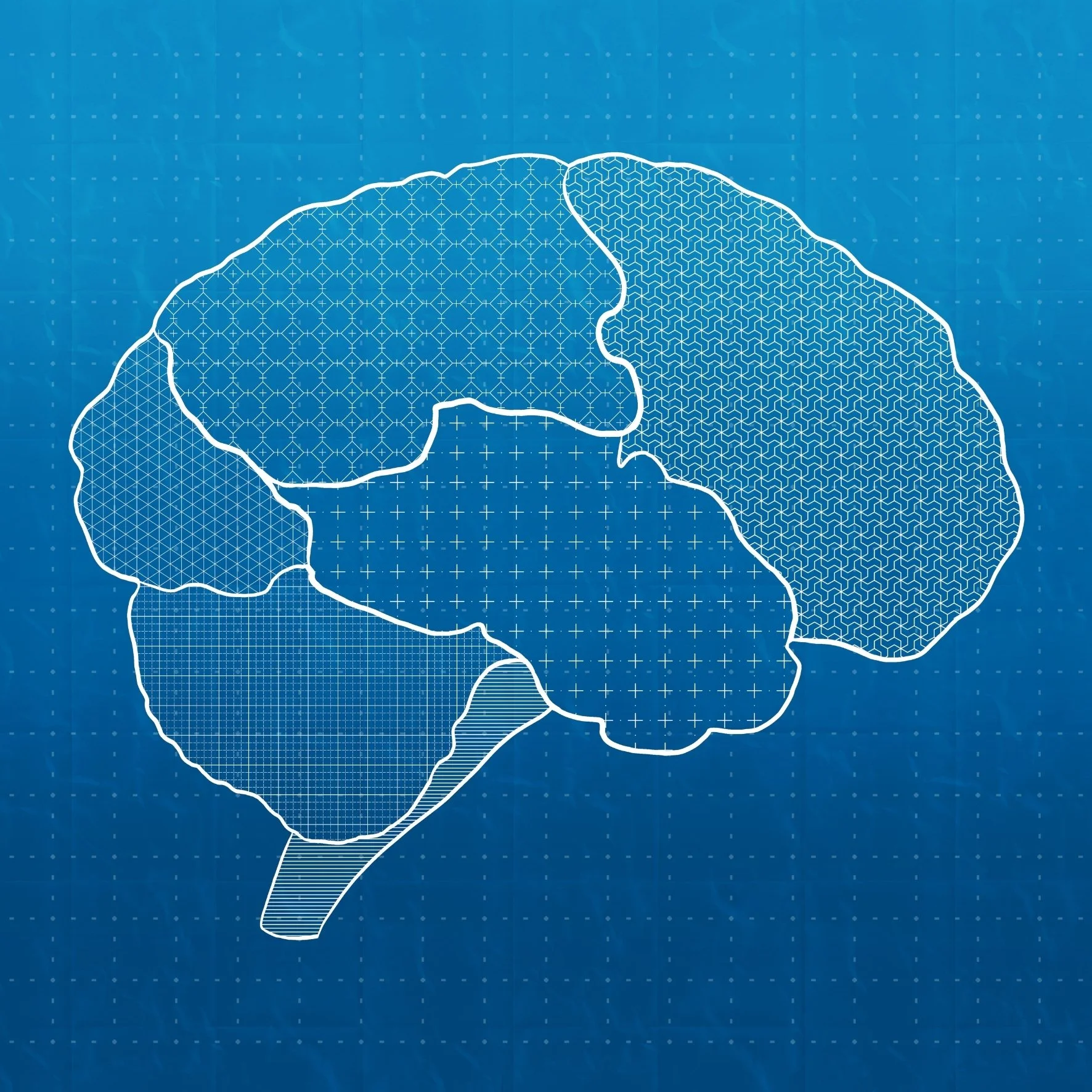 11 - Neural Architecture