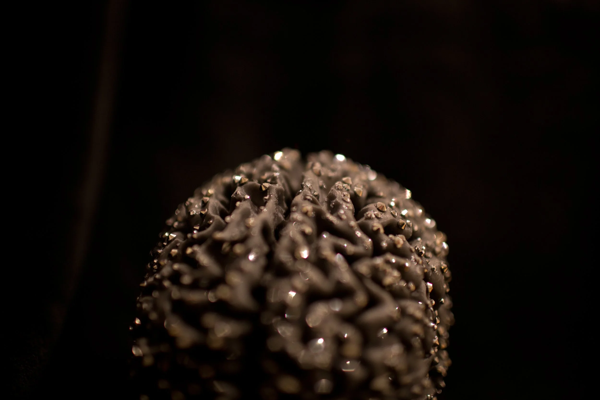 056A6221.jpg
