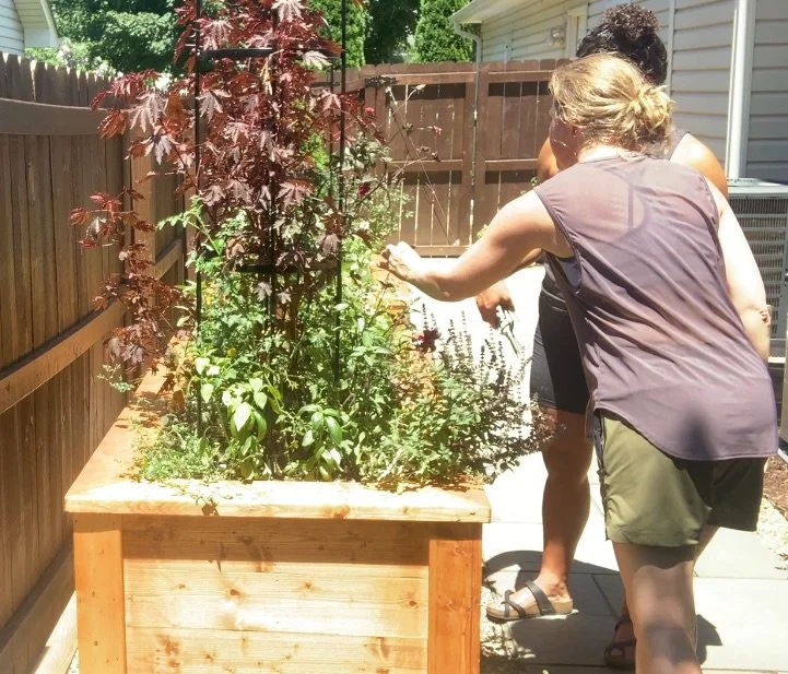 garden coaching photo.jpeg