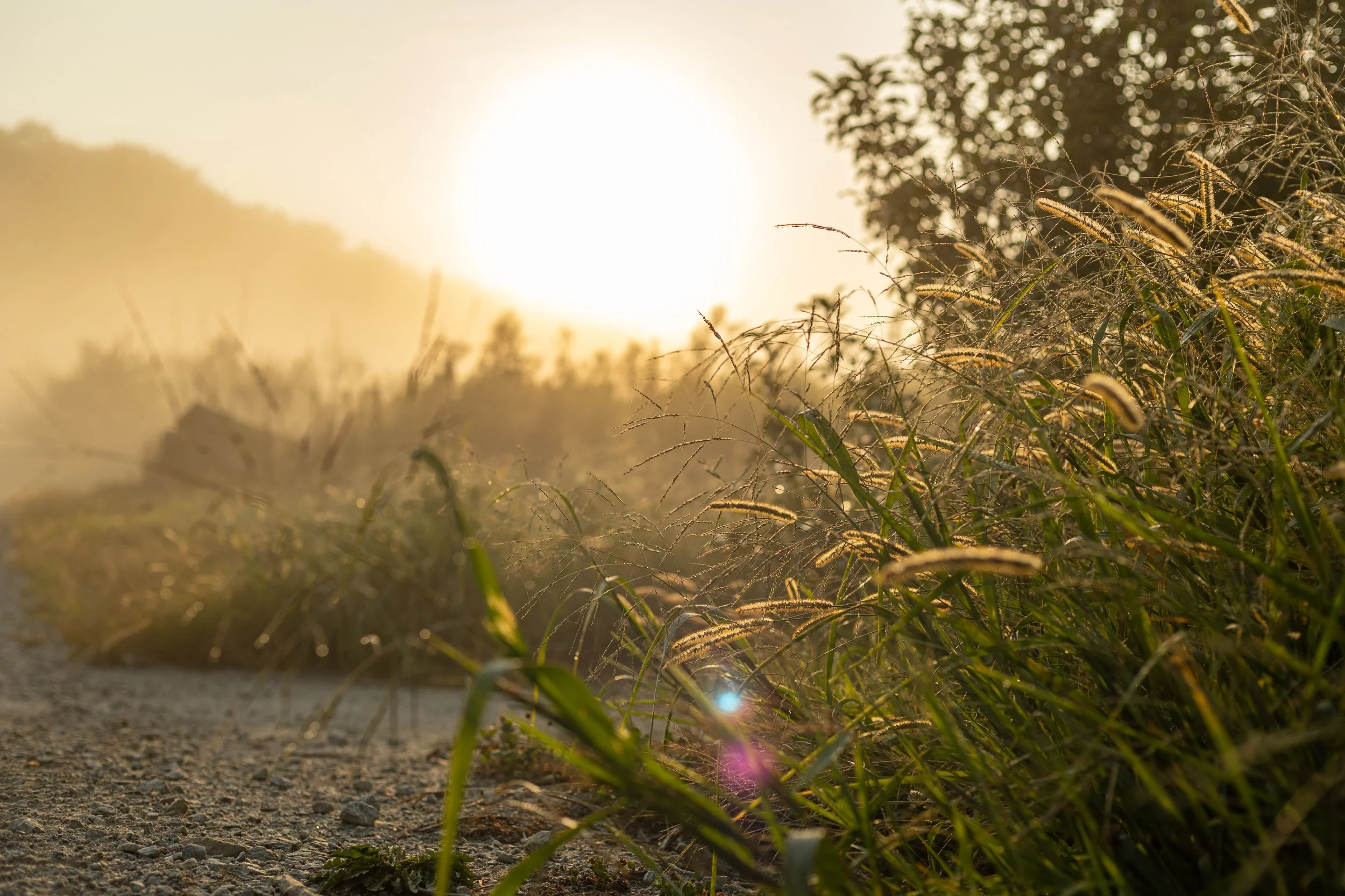 DW4A4710-HDR.jpg