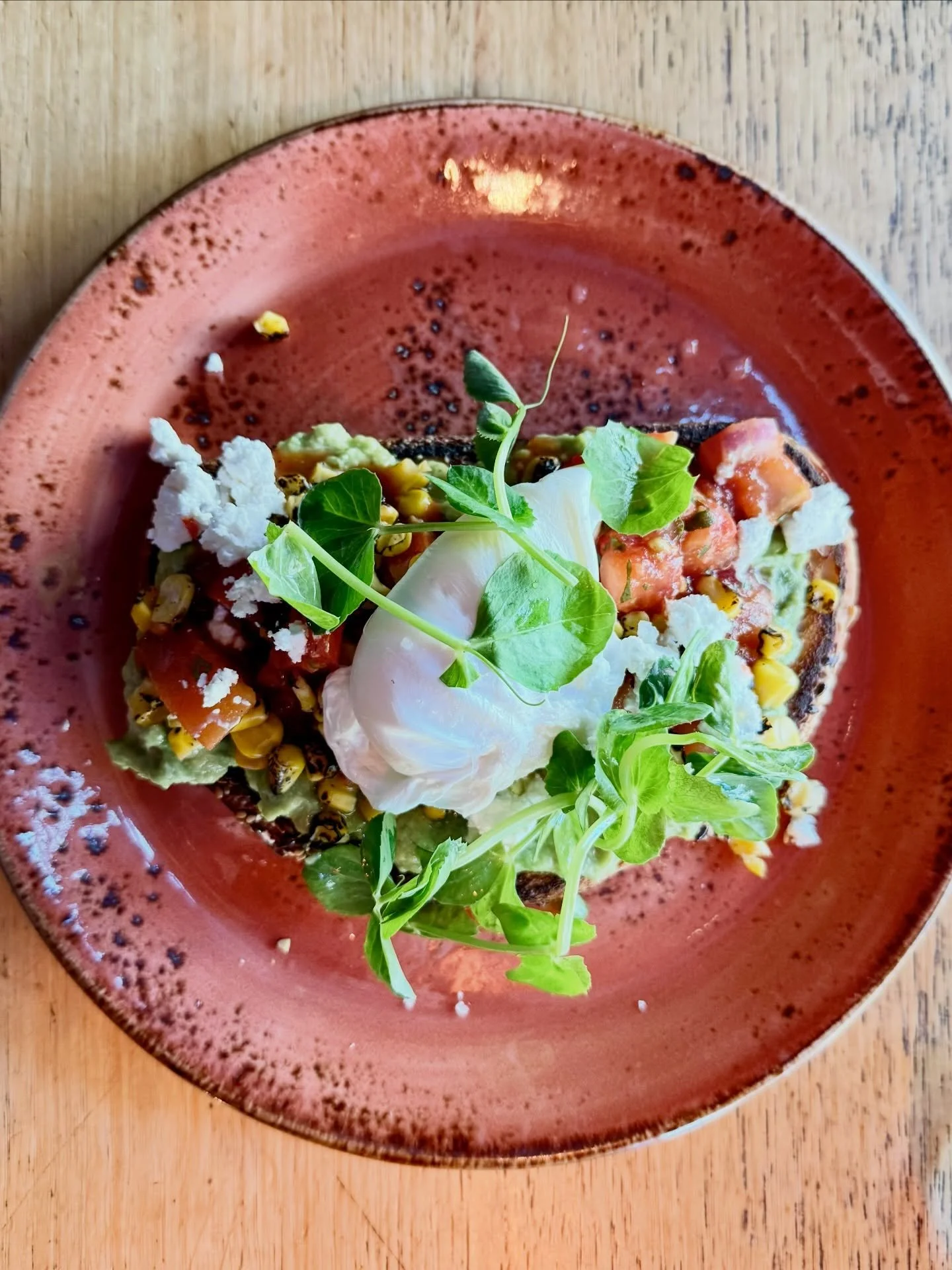 Long weekend brunch at Sons of Mary? You deserve it.

Our Smashed Avocado is topped with chunky pico de gallo, charred corn, crumbled feta, snow pea tendrils, gremolata and pumpkin seeds all on multigrain toast - and yes, you can add a perfectly poac