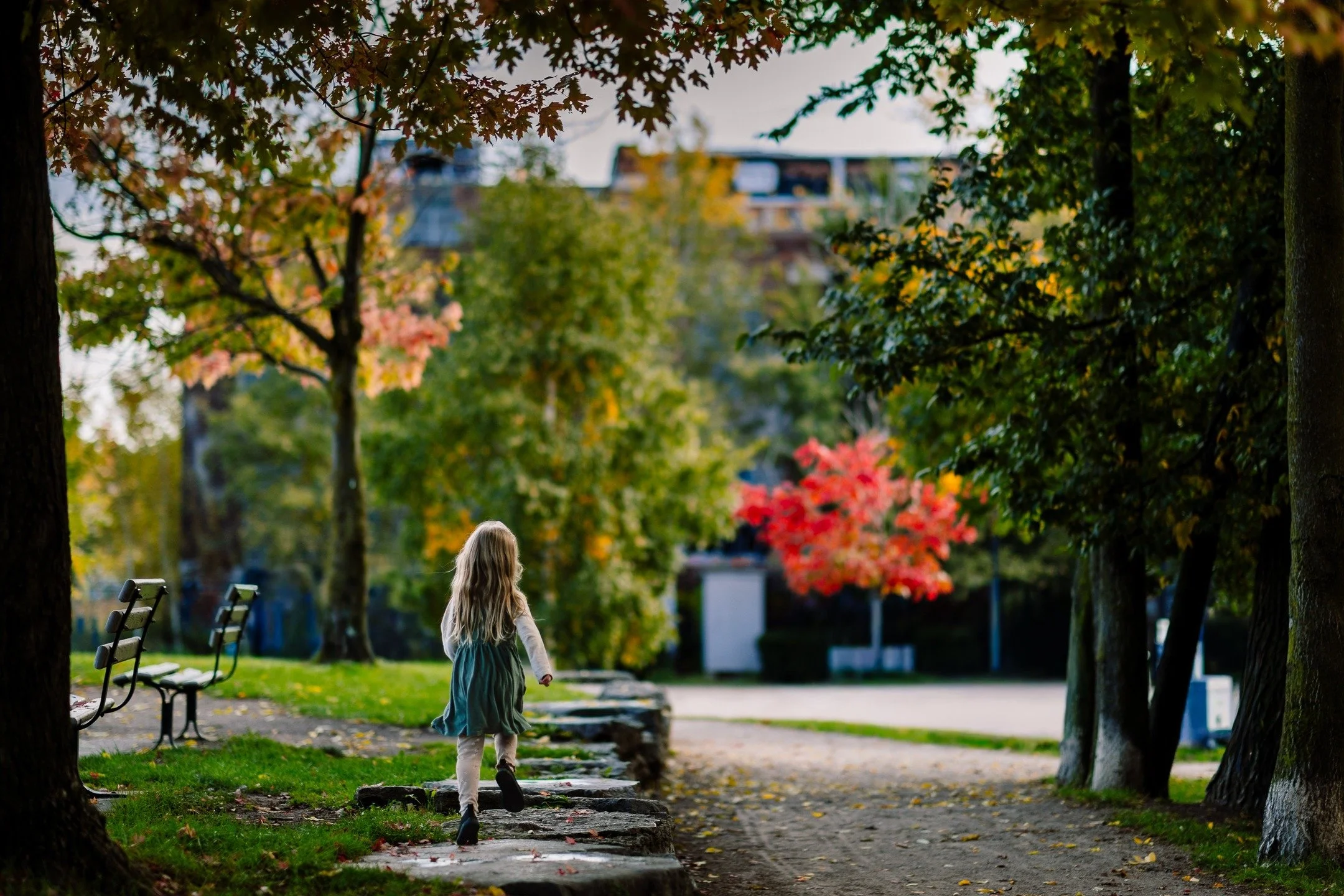 Fall colours don&rsquo;t last forever. But the memories can. 🍁✨

These are the kinds of quiet, in-between moments I love to photograph &mdash; fall colours, the way kids run just a little faster in the crisp air. Fall is short. Let&rsquo;s make it u