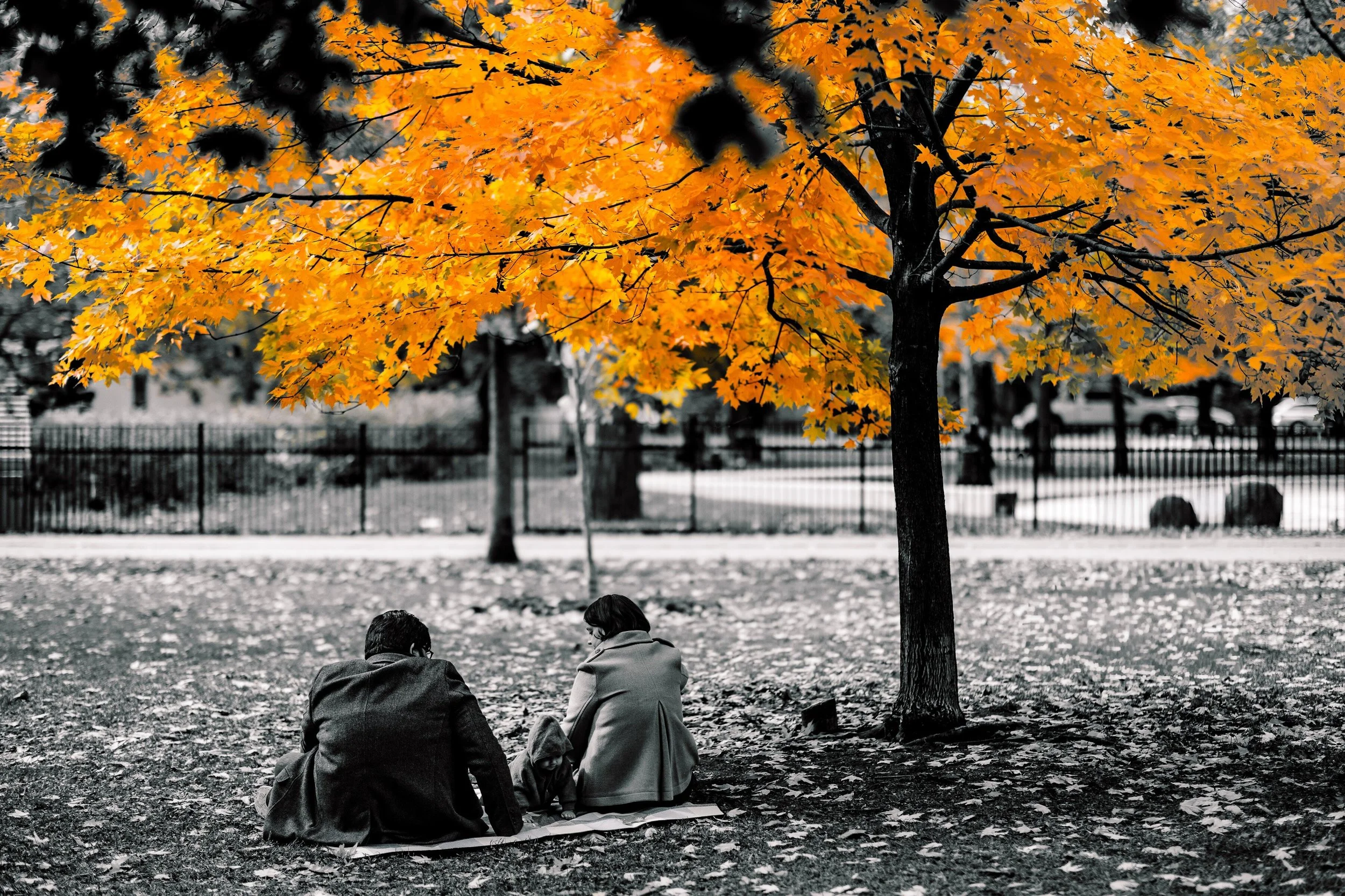 Trinity Bellwoods Fall Family Photos | Toronto Family Photography