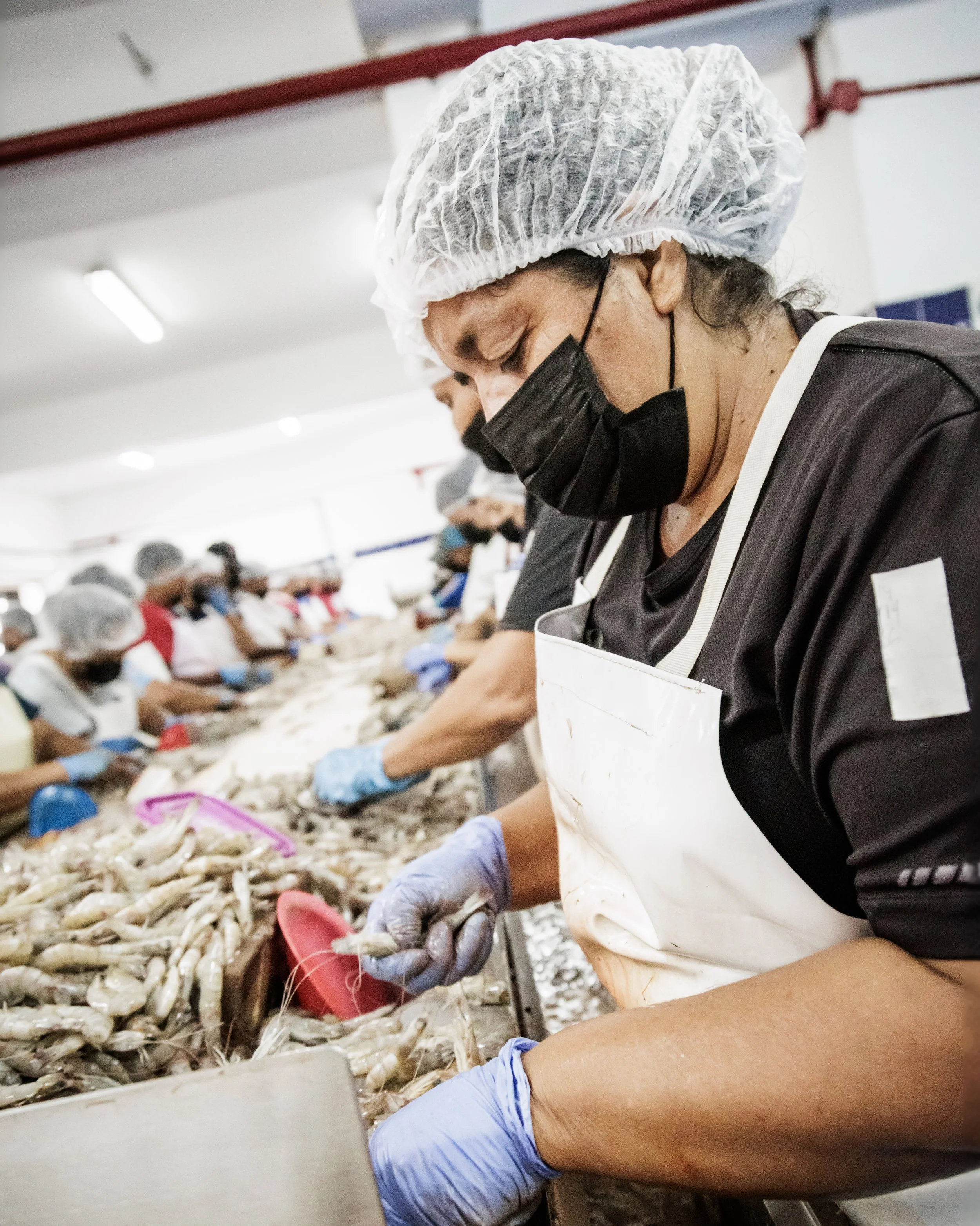 110 copia sin nariz.jpg