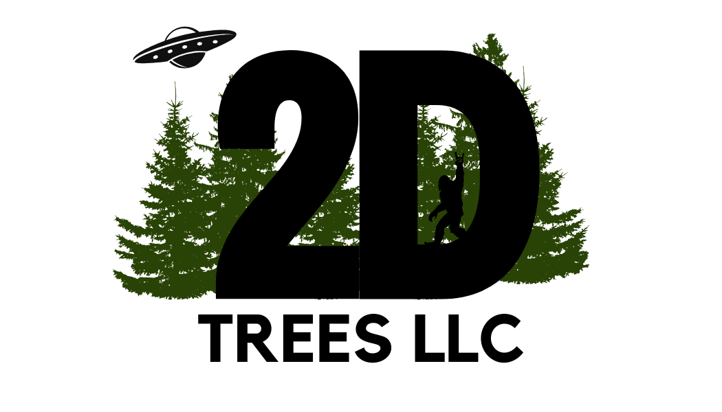 2D Trees LLC