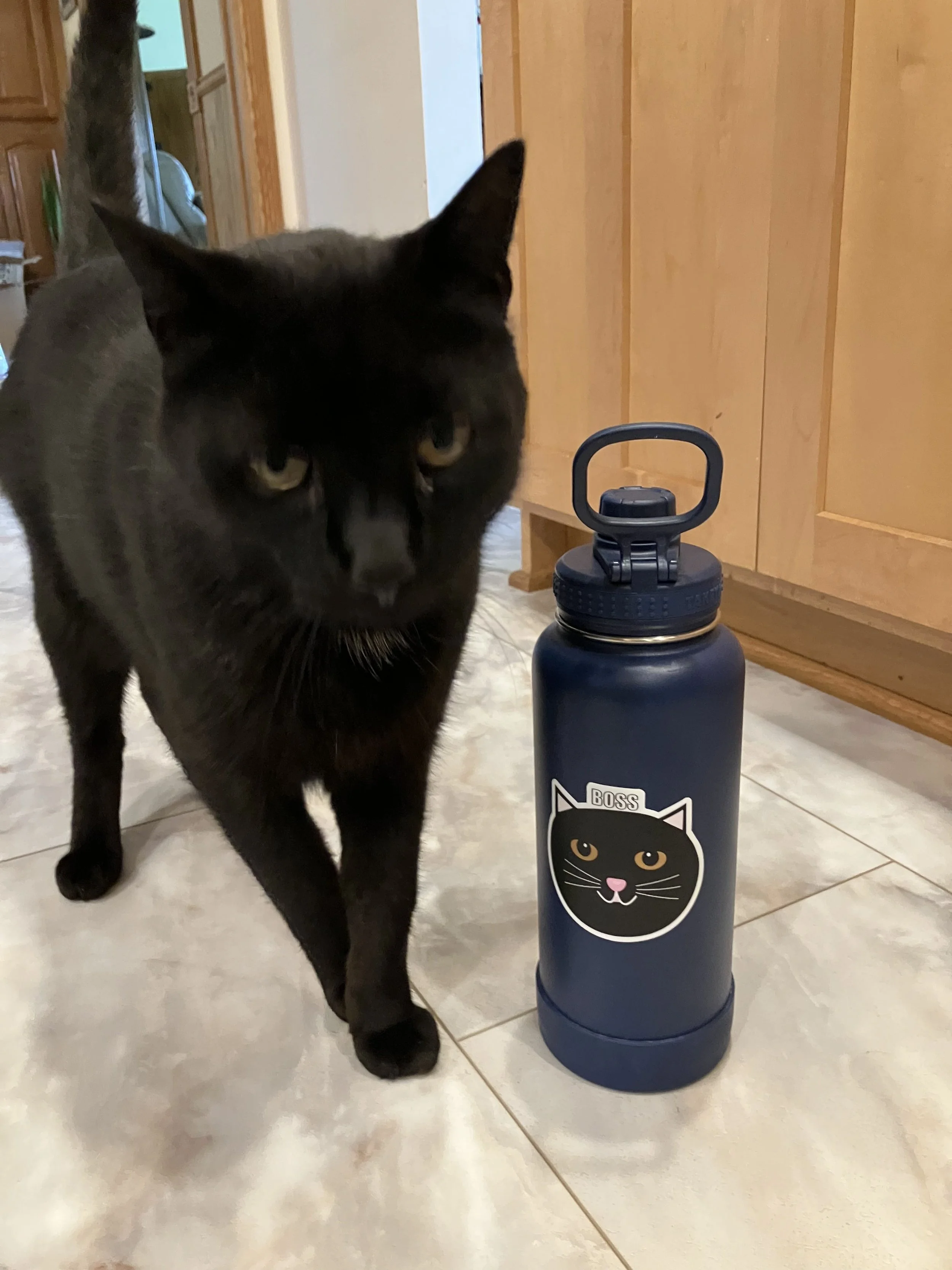 A black cat walking past a navy blue water bottle with a sticker of a black cat's face and the word 'BOSS' on it, on a tiled kitchen floor.