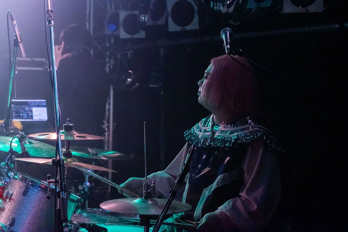 Dotonbori Sakura / Deluxe x Deluxe