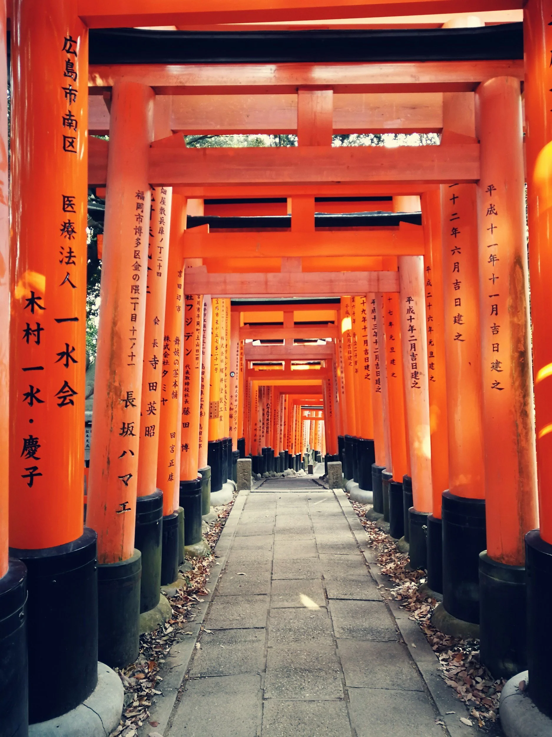 unsplash-image-uZzZ5cDx9mU.jpg