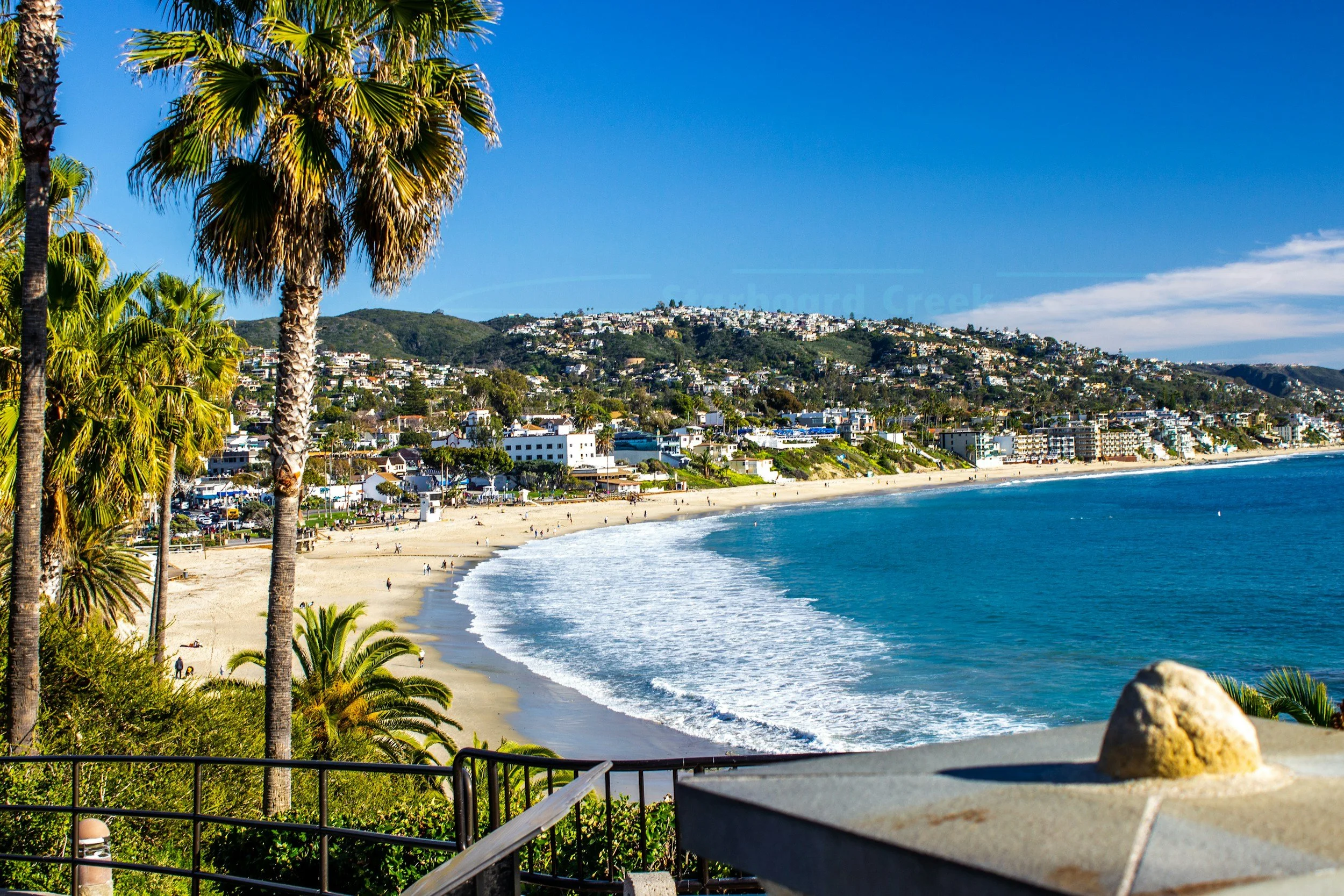 A scenic view of a beach with palm trees in the foreground, a sandy shoreline, and waves crashing against the coast. In the background, there are residential buildings on a hillside under a clear blue sky.