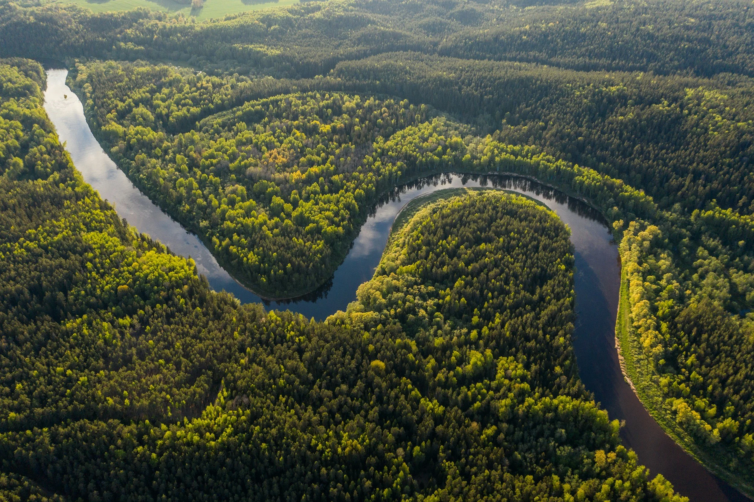 Aerial view of a meandering river winding through a dense forest with green trees.