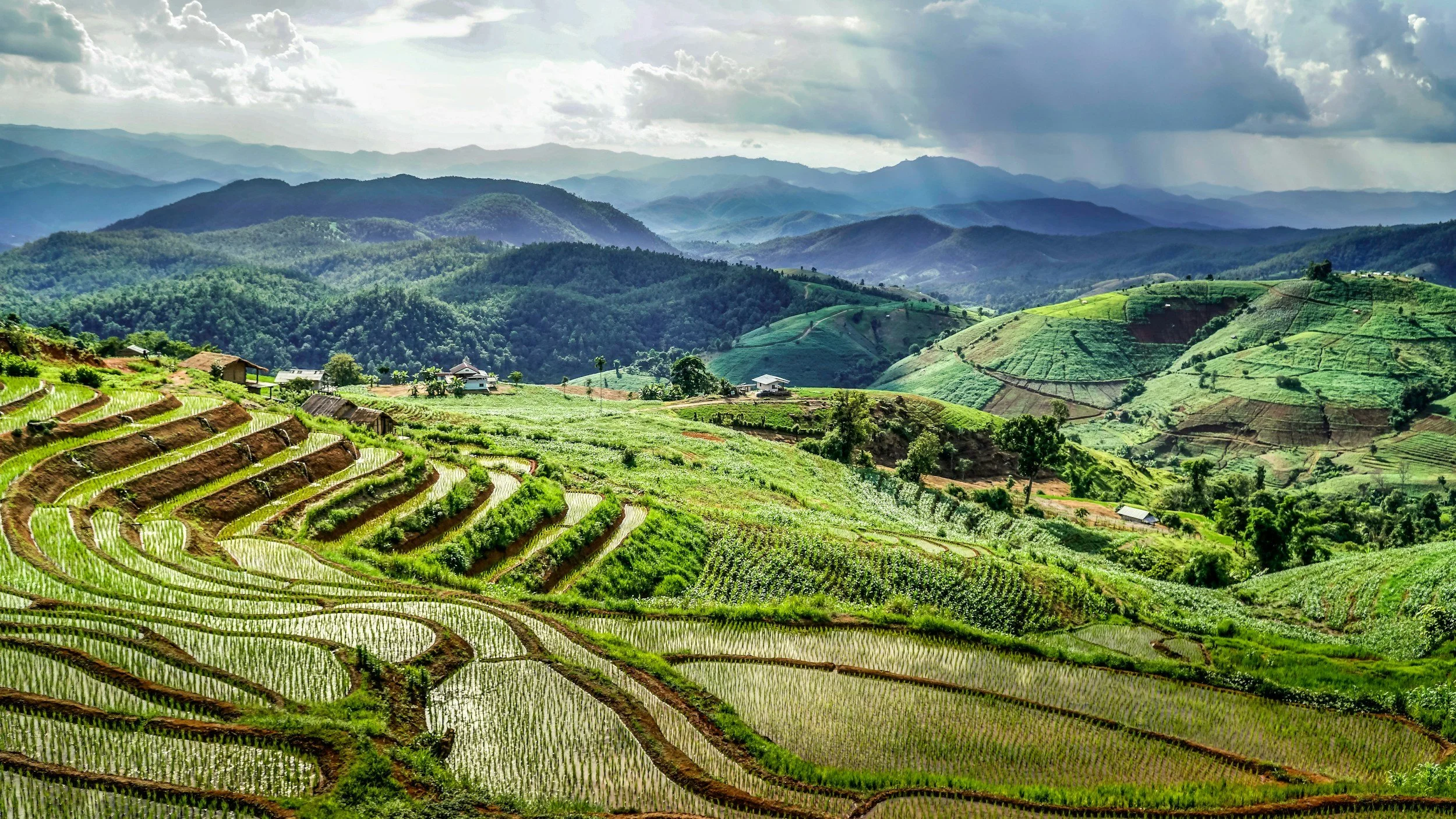 Lush green terraced rice fields on rolling hills with mountains in the background, partly cloudy sky.