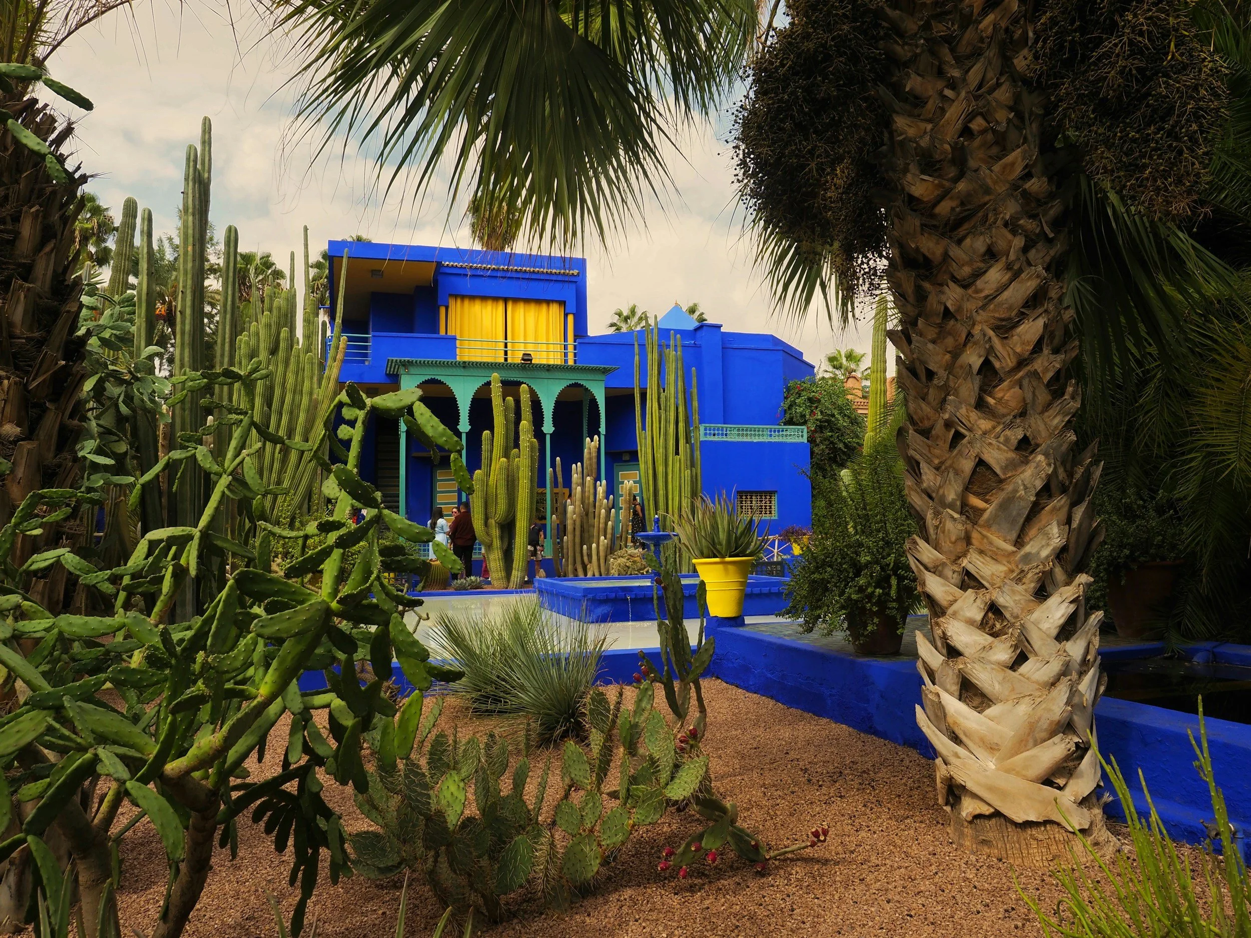 A vibrant exterior scene with a bright blue building, surrounded by various cacti and desert plants, including a tall palm tree and potted plants, creating a lush desert garden atmosphere.