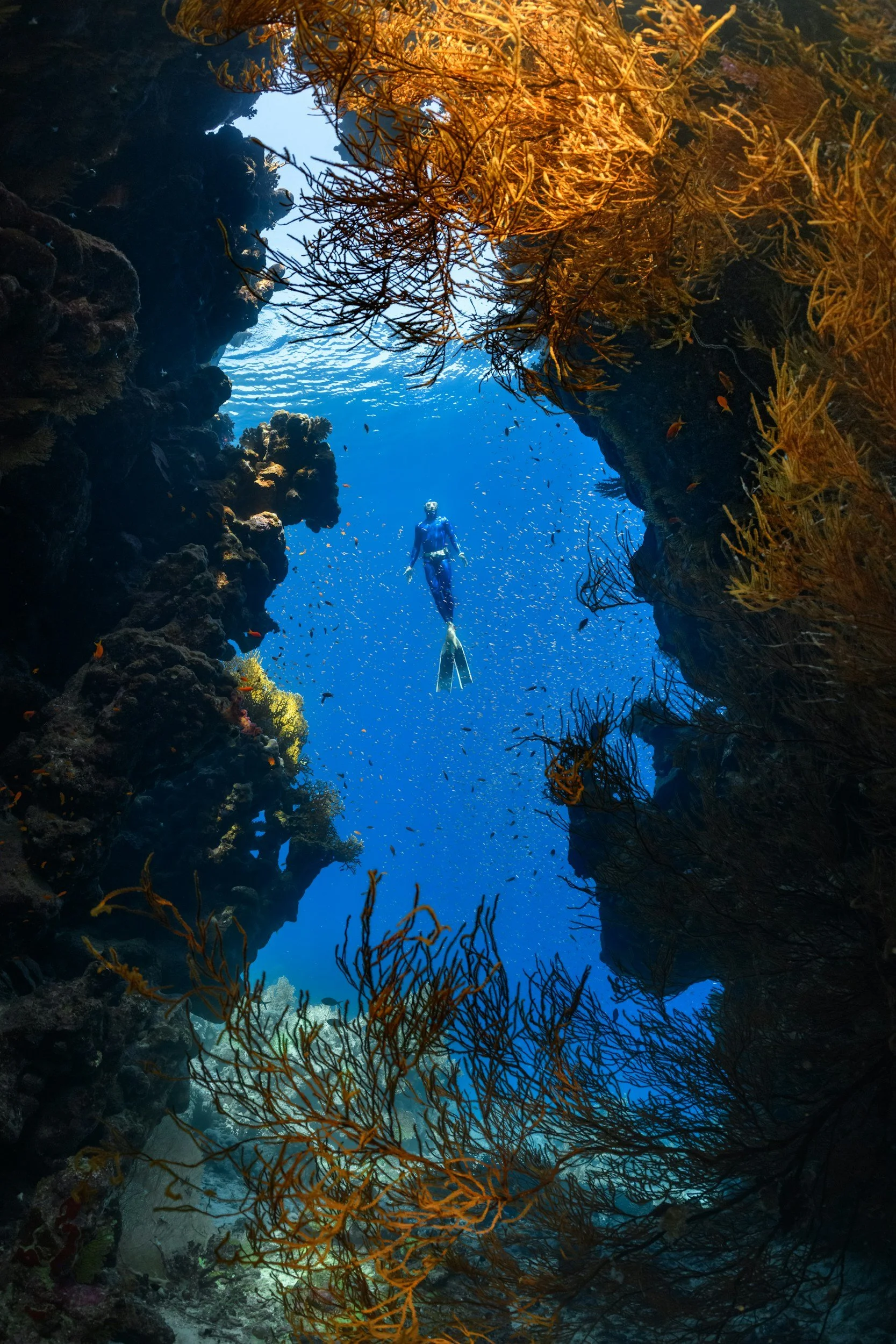 A scuba diver swimming through an underwater canyon surrounded by coral reefs and marine flora, with the water illuminated by sunlight.