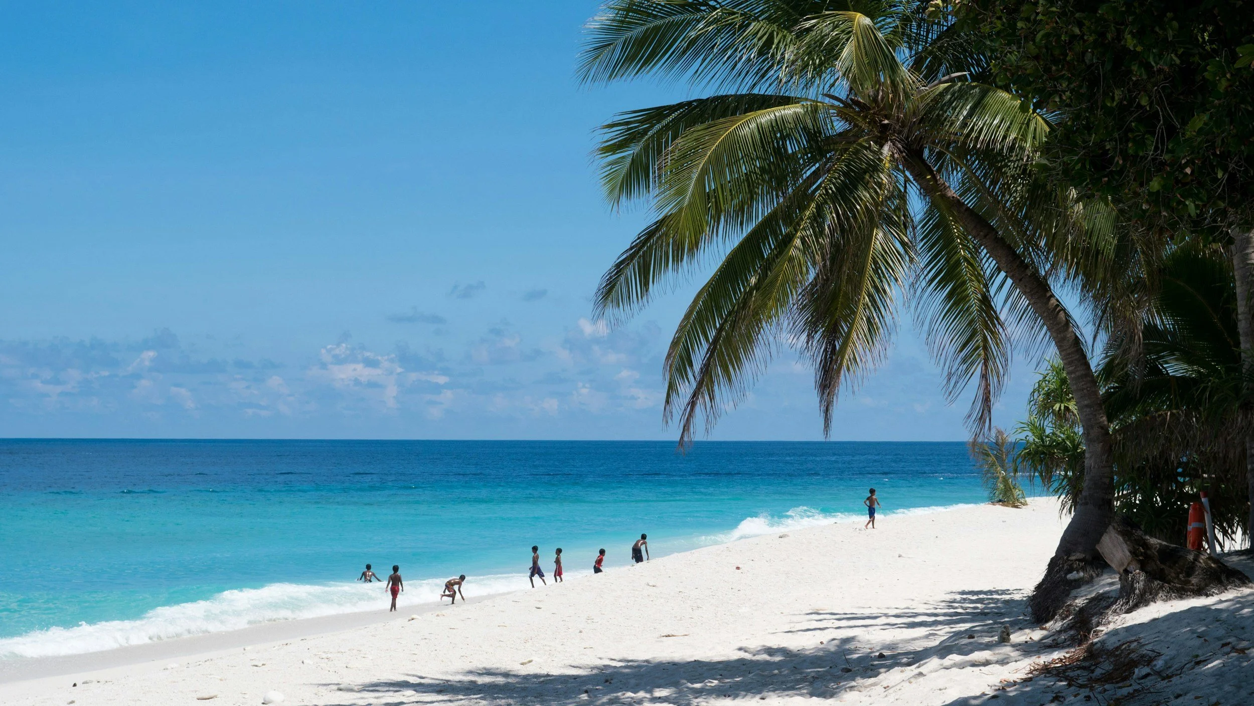 A tropical beach scene with white sand, turquoise ocean, a clear blue sky, and palm trees. Several children and adults are playing near the water's edge.